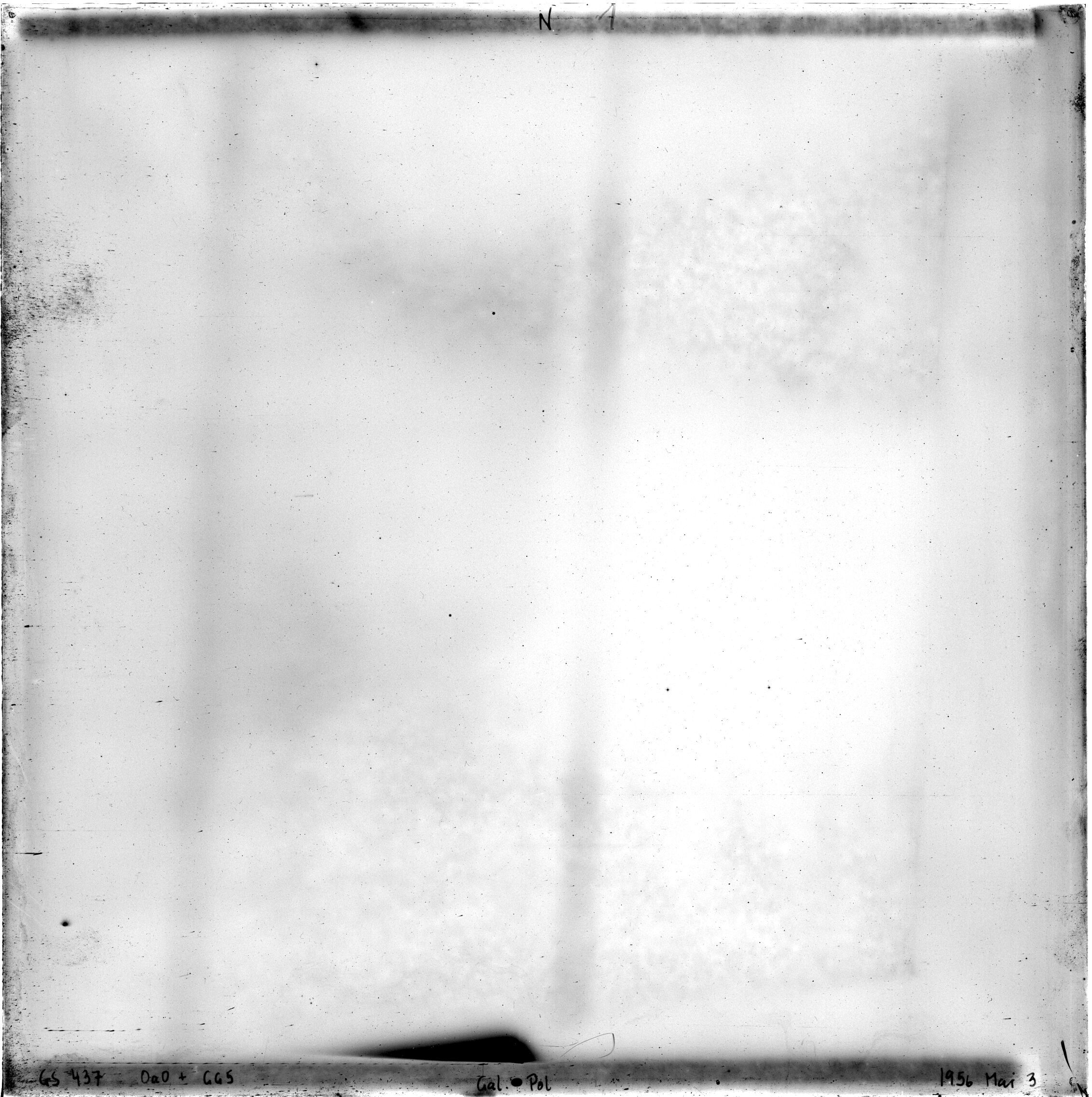 Scan GS00437