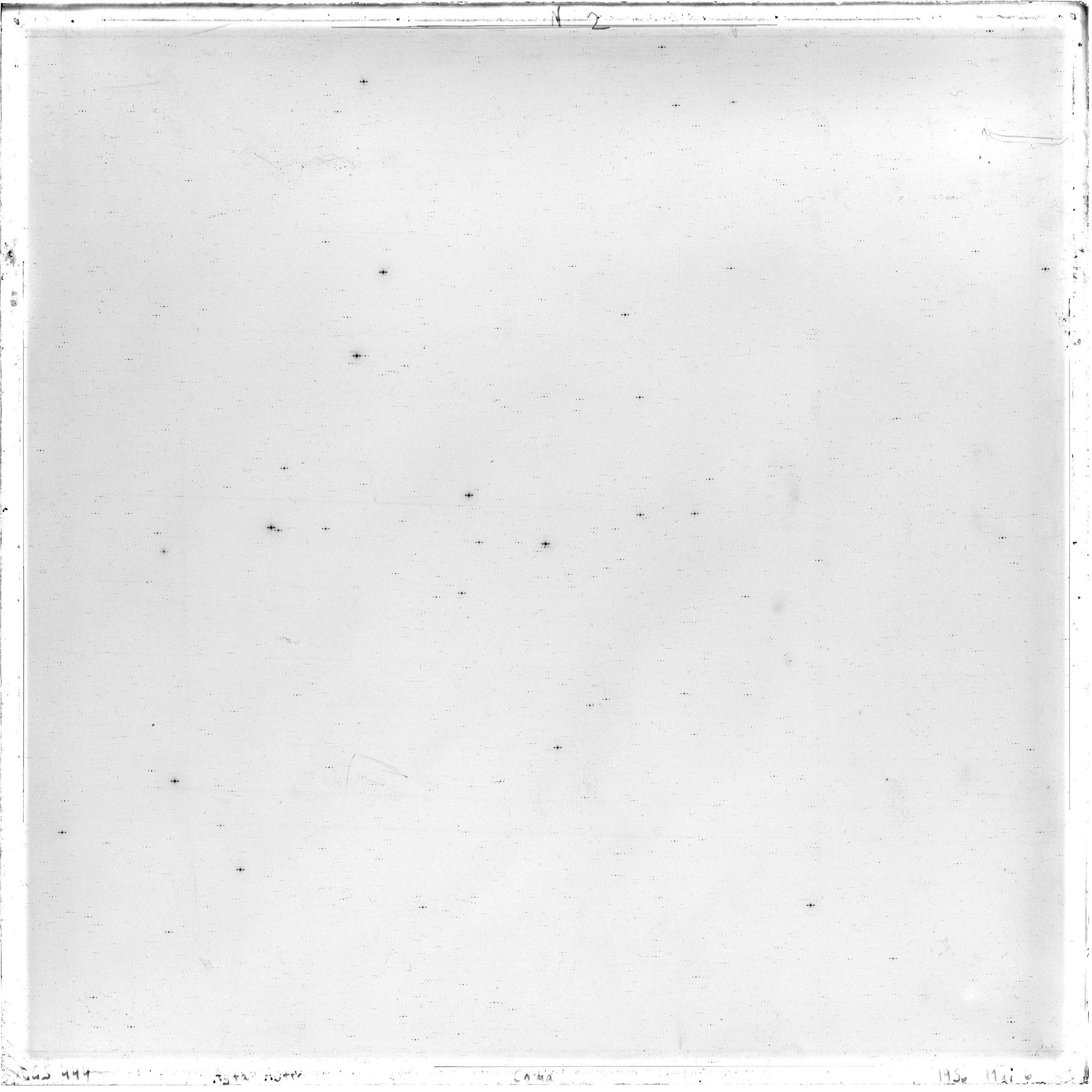 Scan GS00444