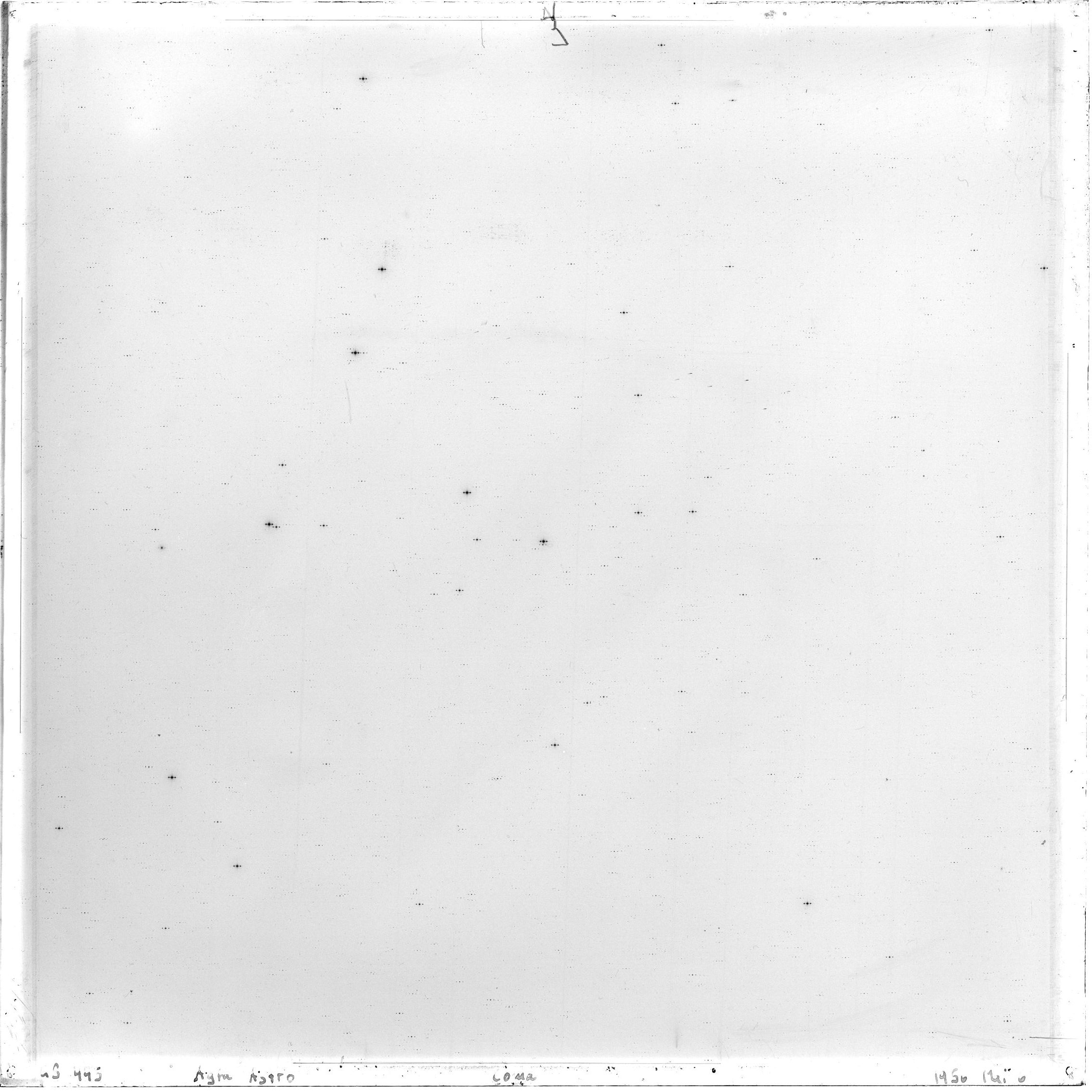 Scan GS00445