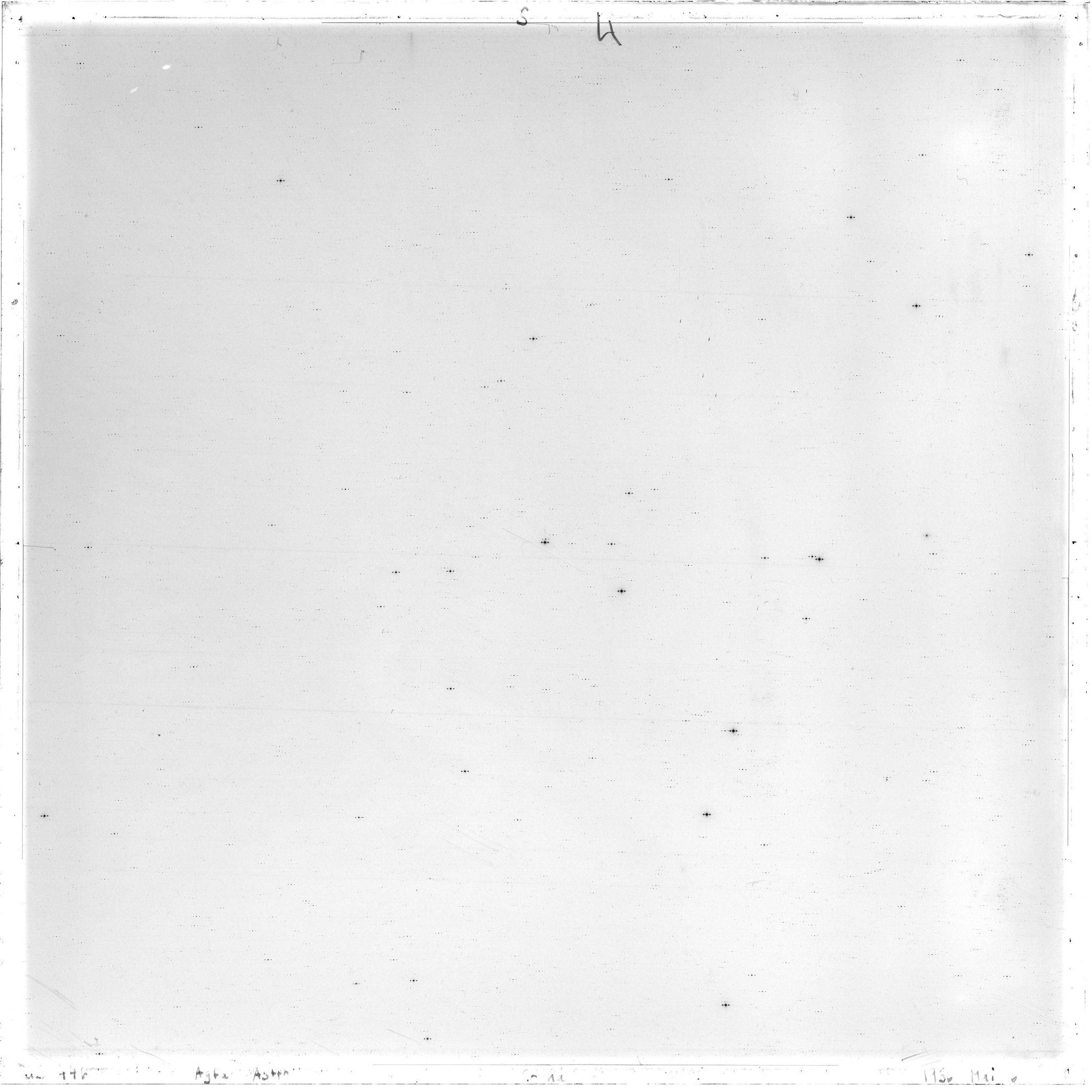 Scan GS00446