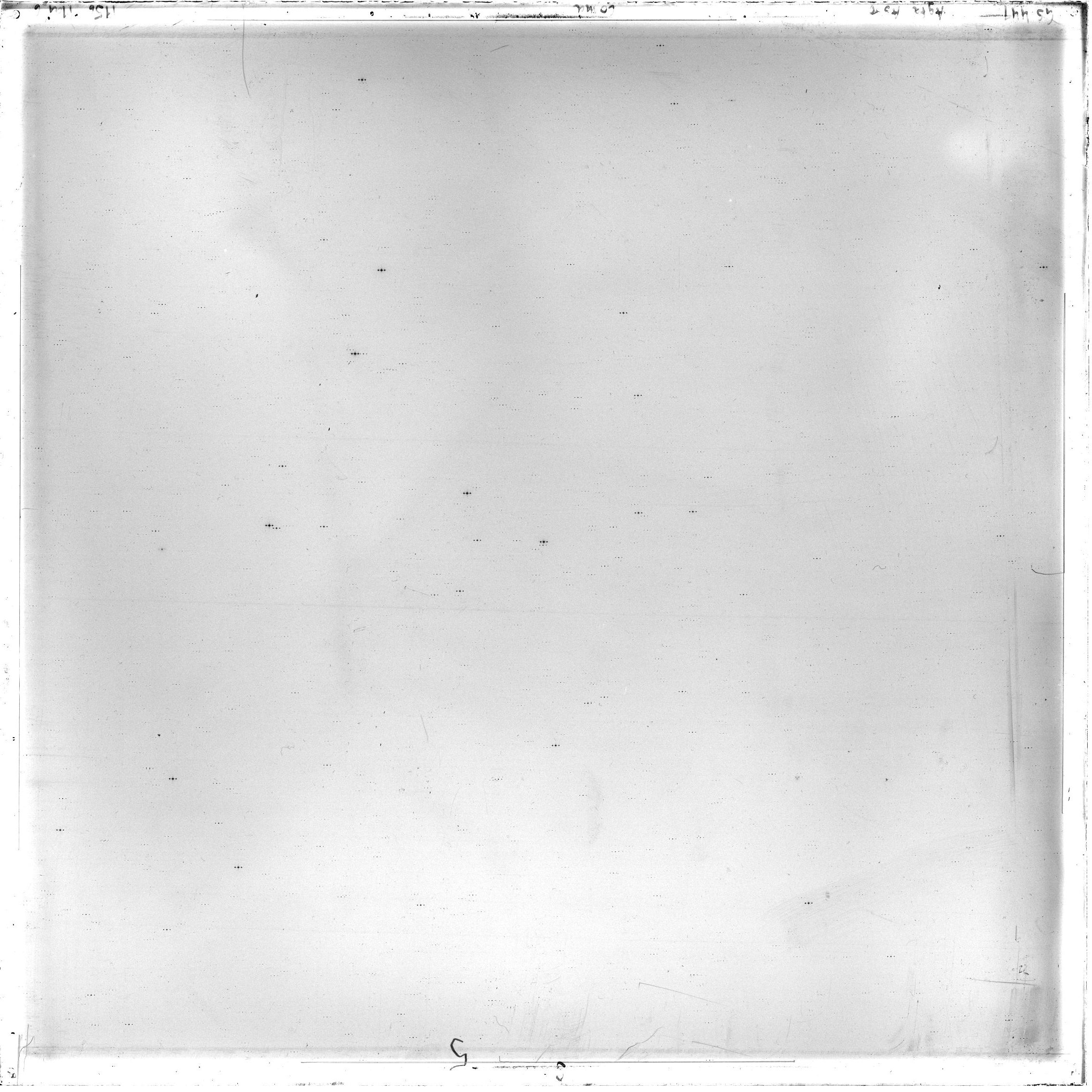 Scan GS00447