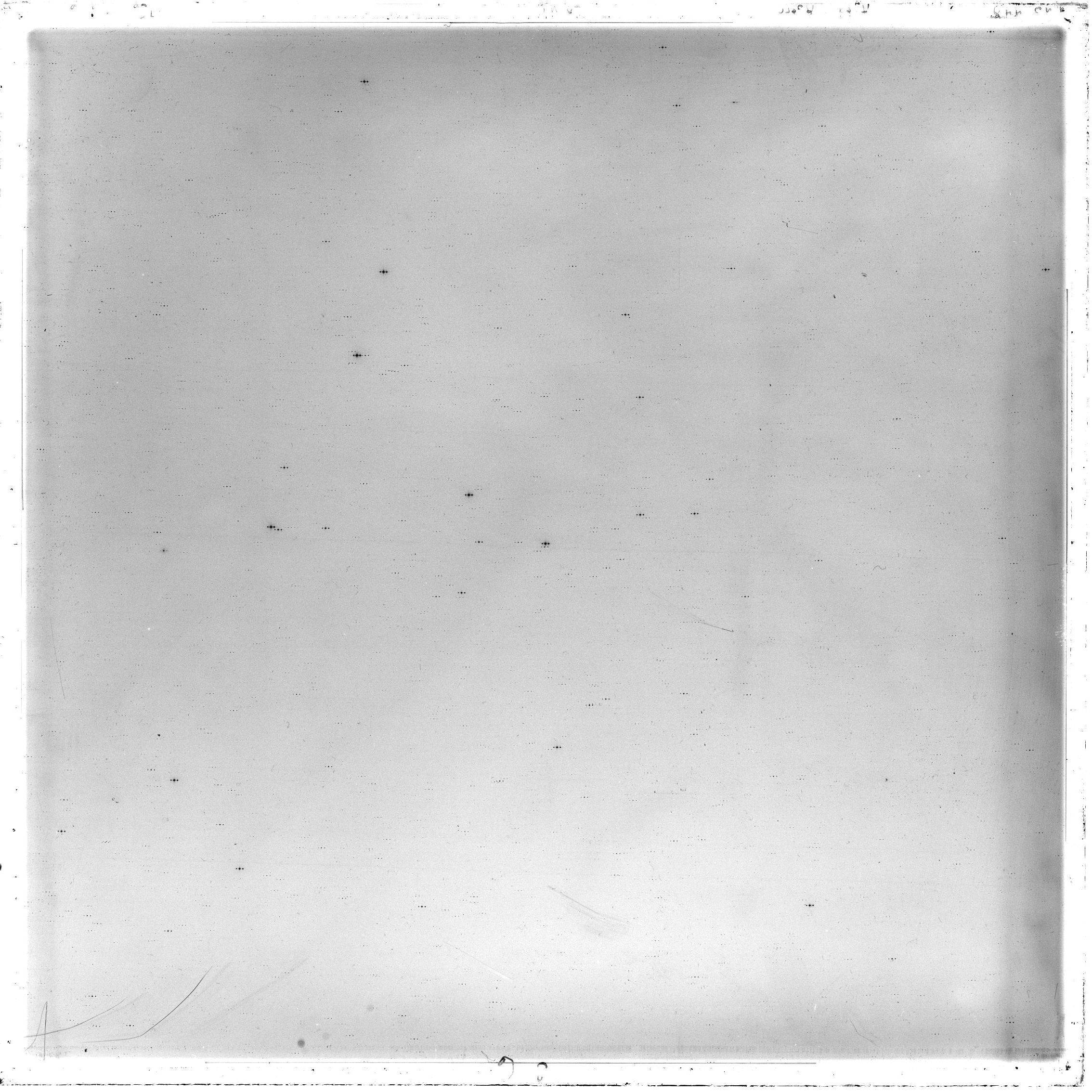 Scan GS00448