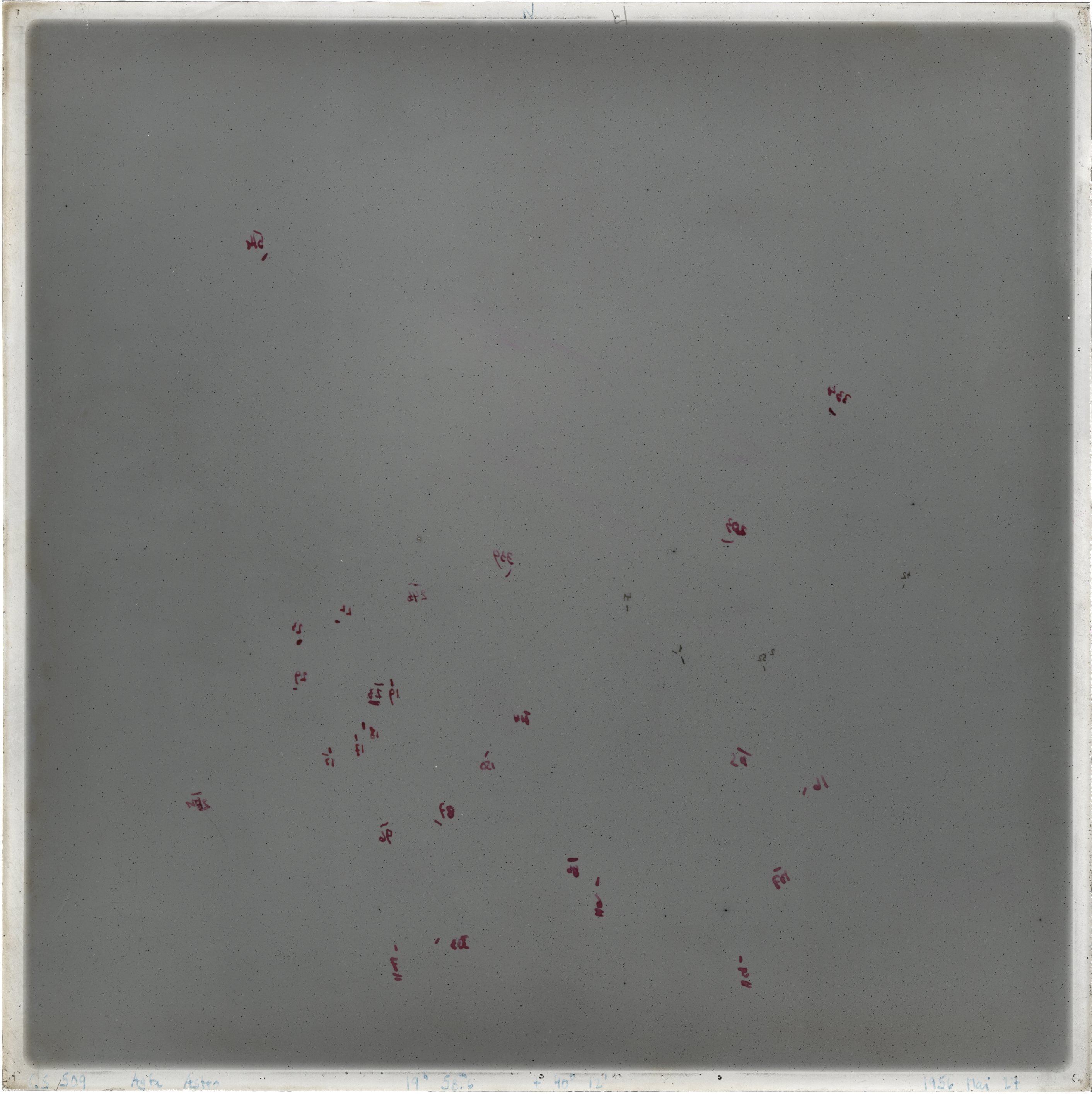 Scan GS00509