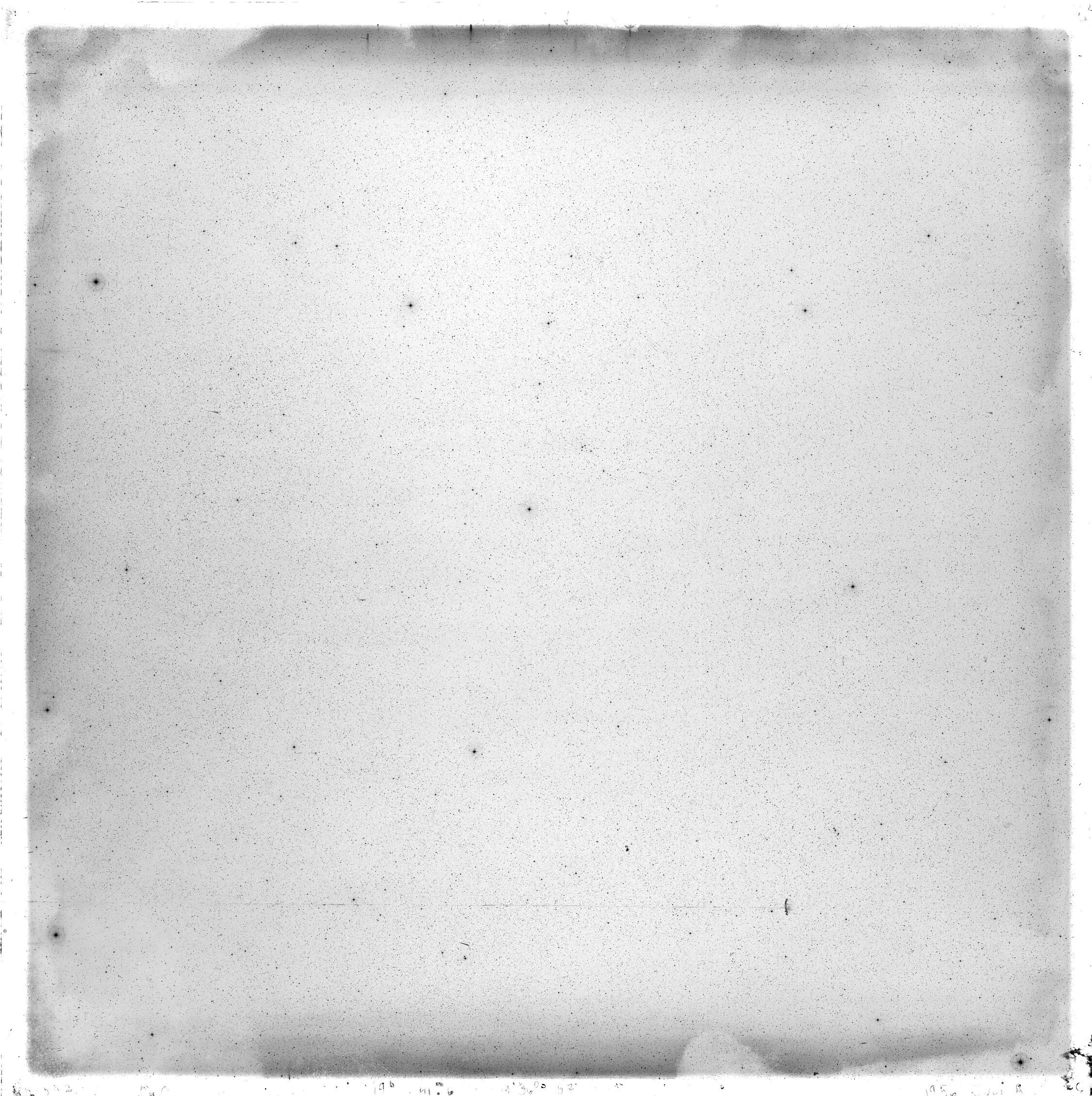 Scan GS00537