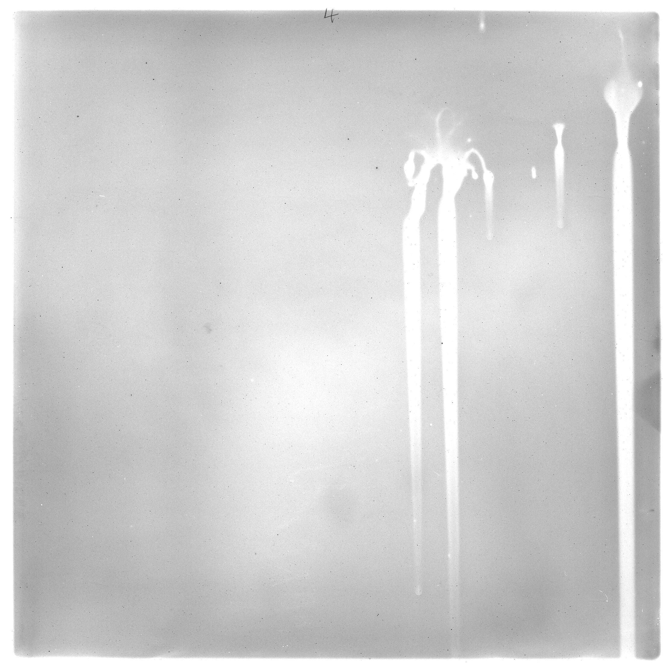 Scan GS00629