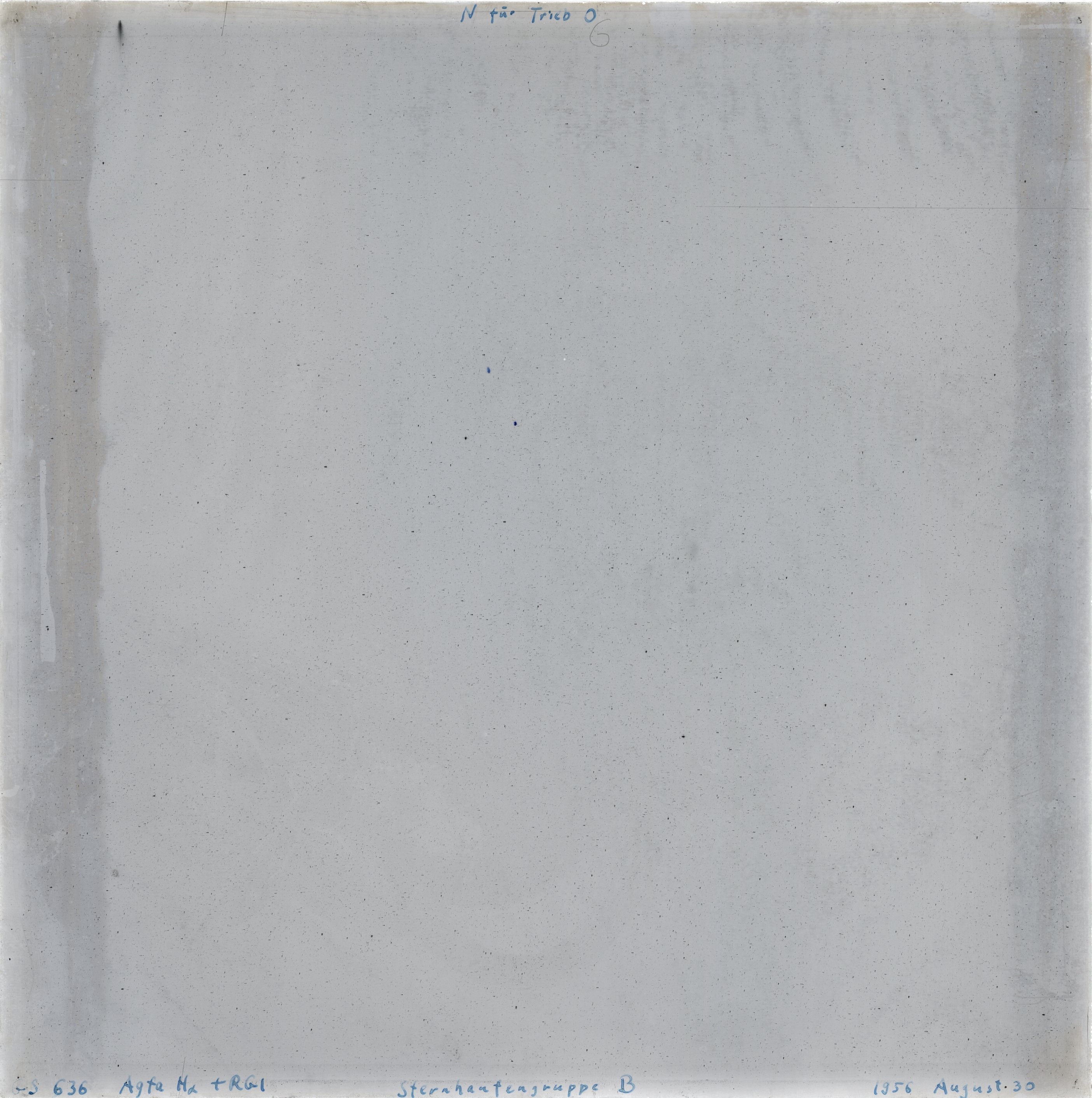 Scan GS00636