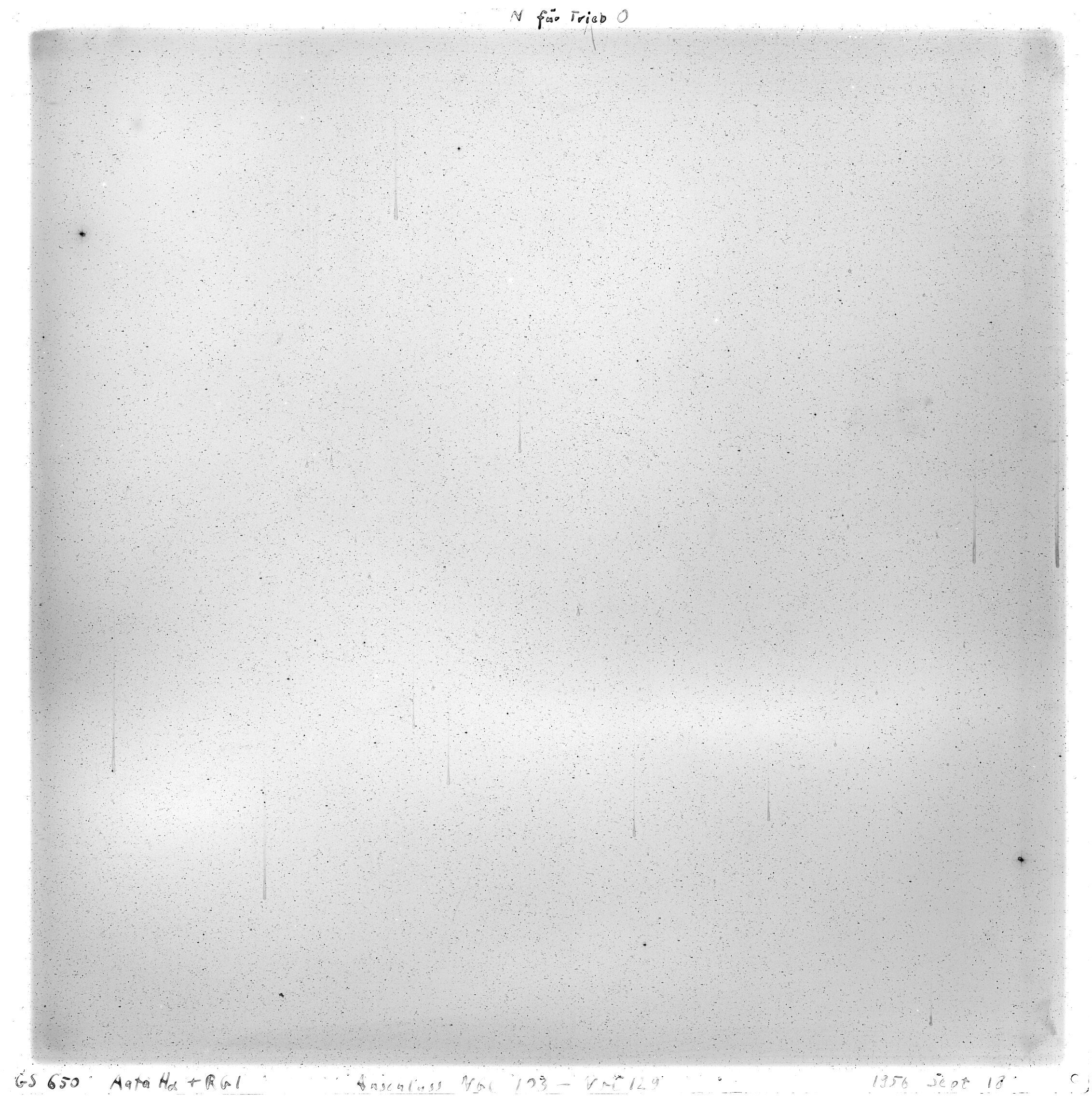 Scan GS00650