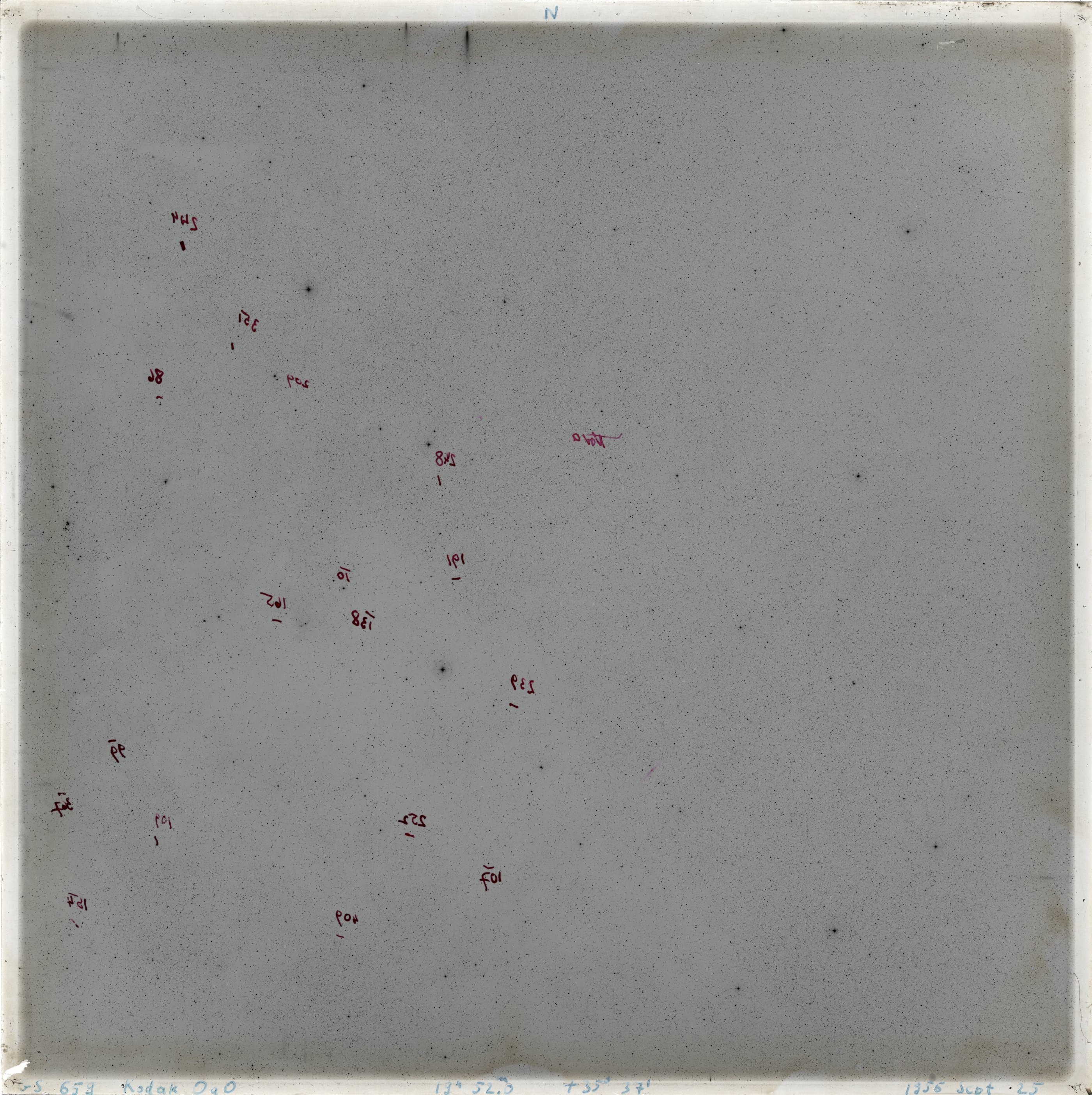 Scan GS00659