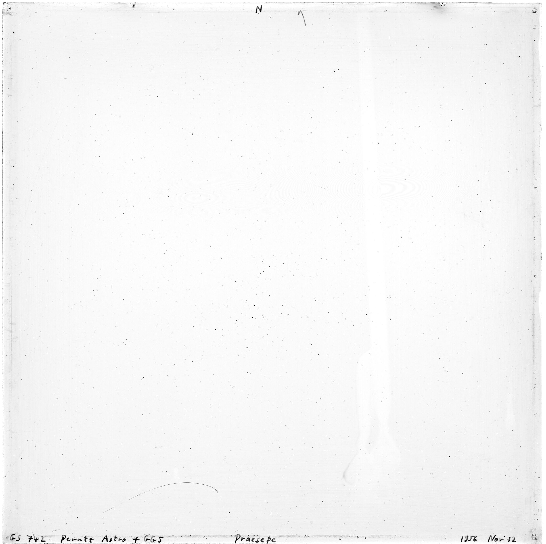 Scan GS00742