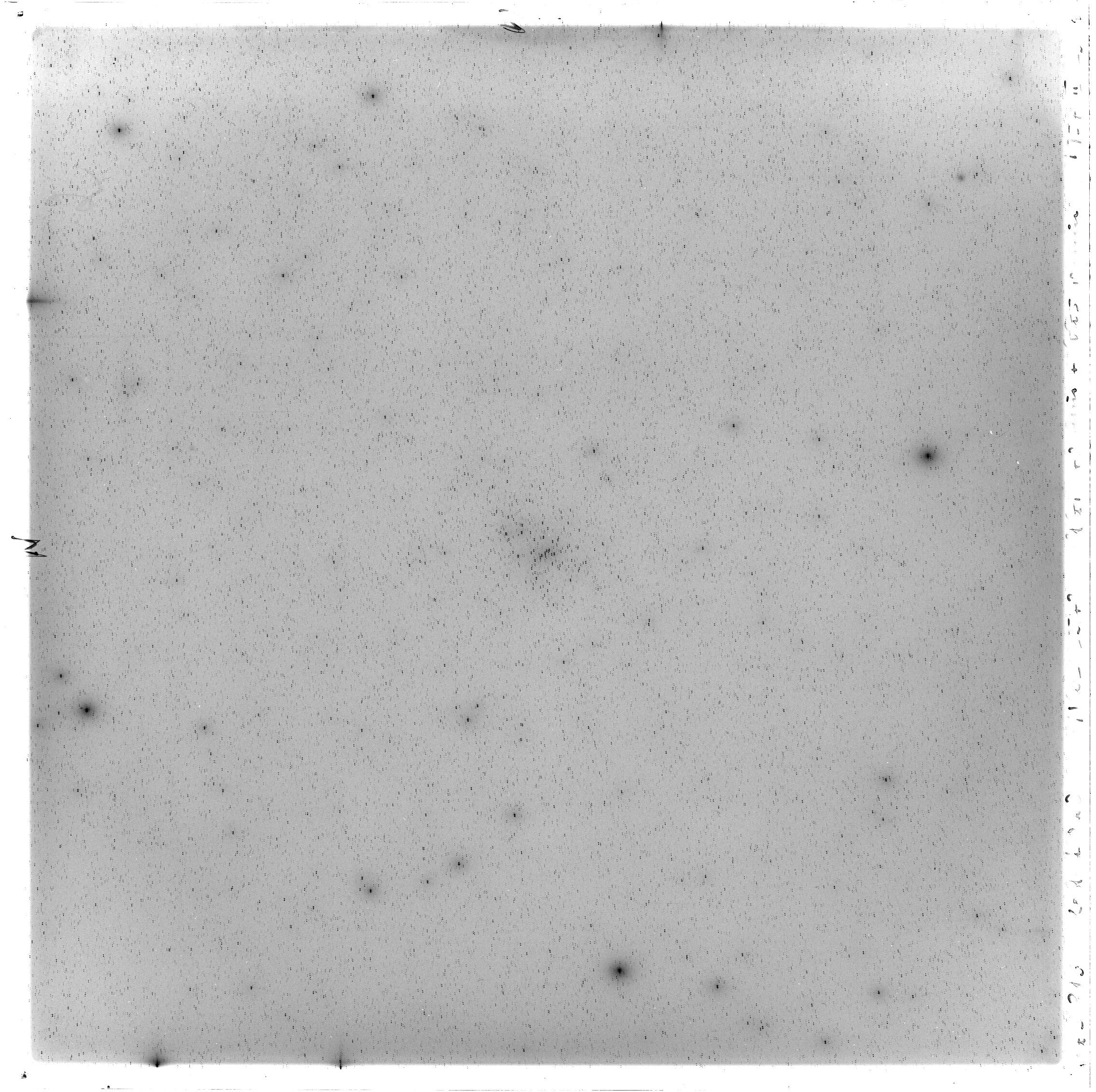 Scan GS00813