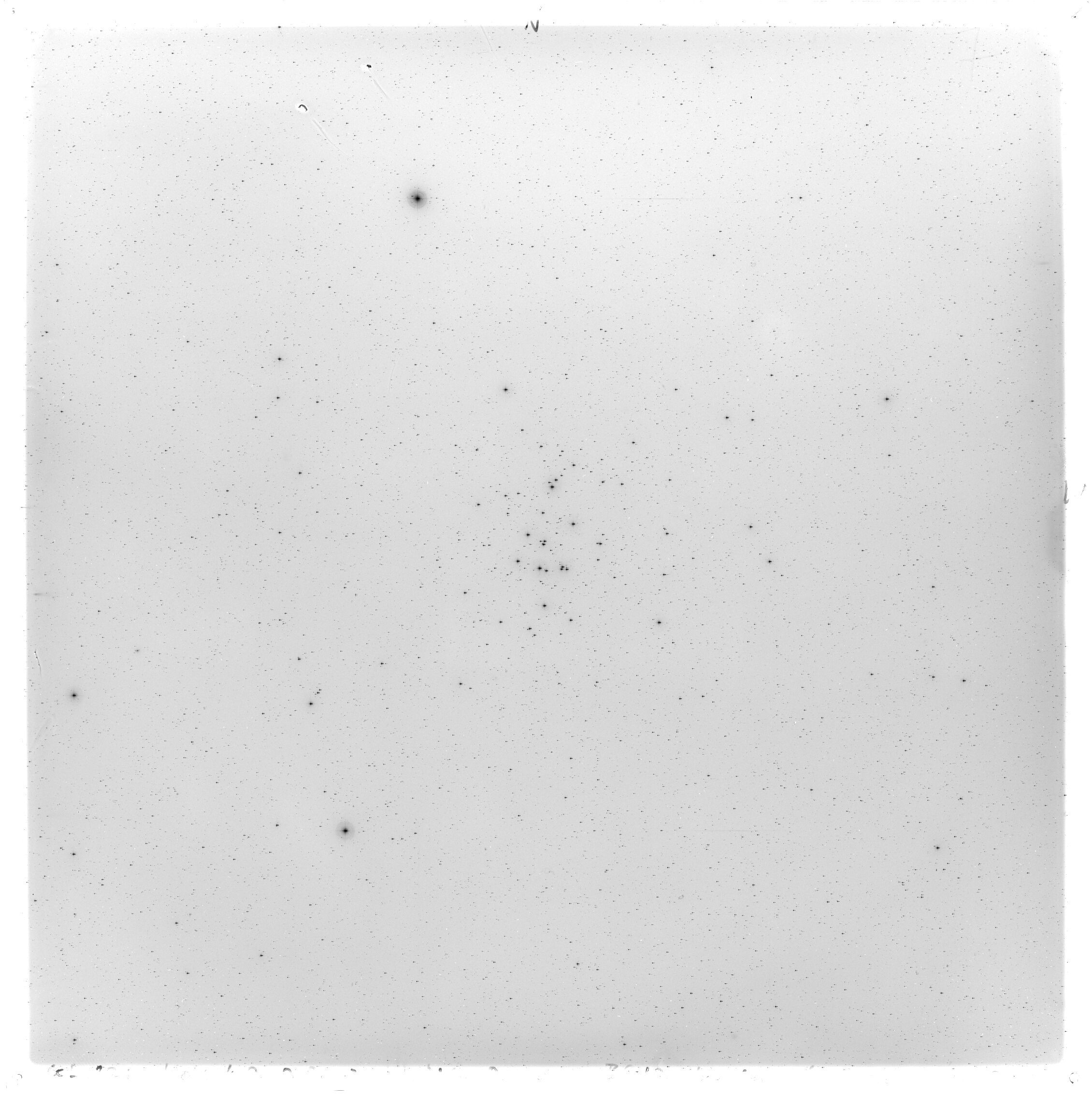Scan GS00821