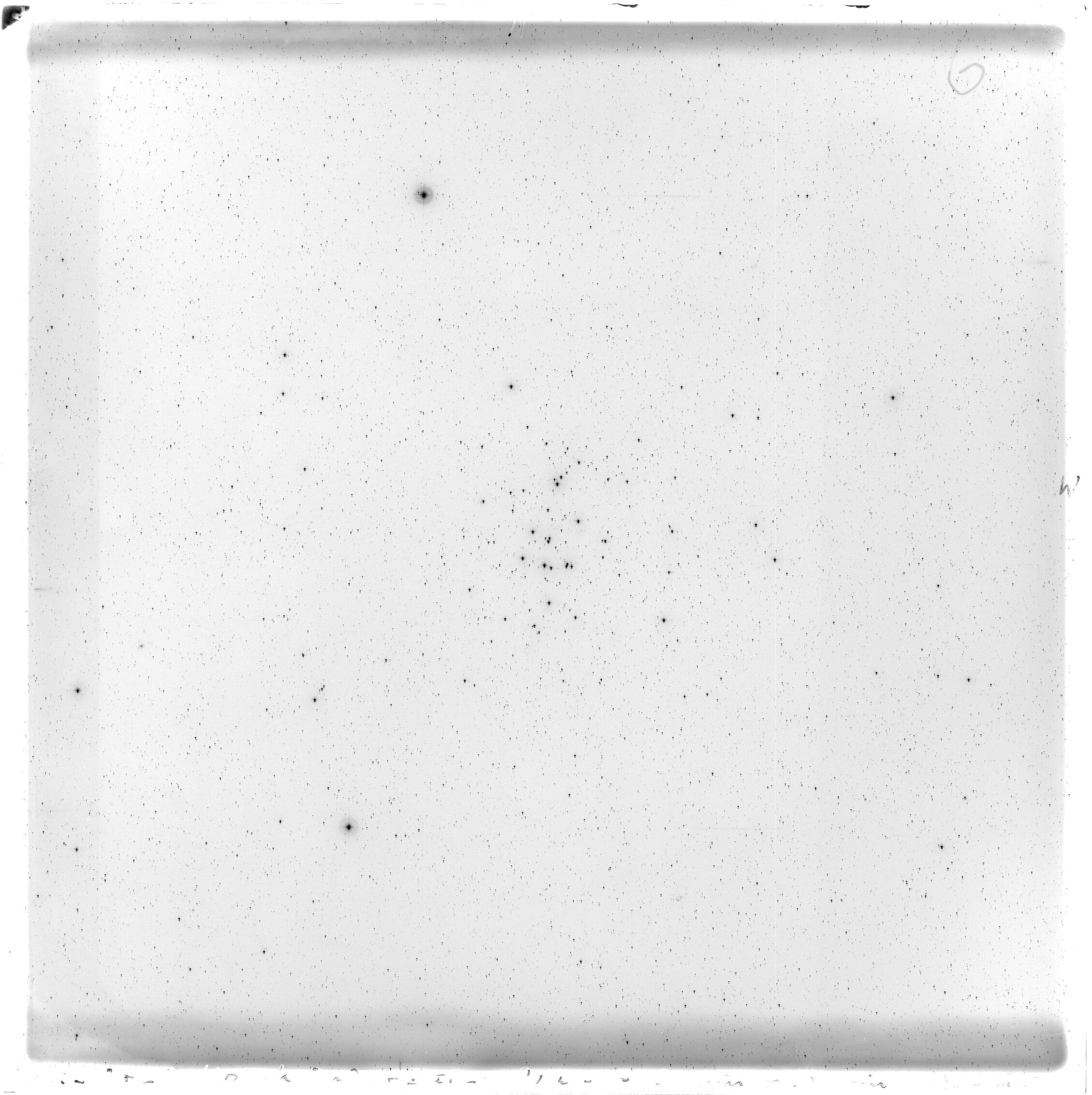 Scan GS00842