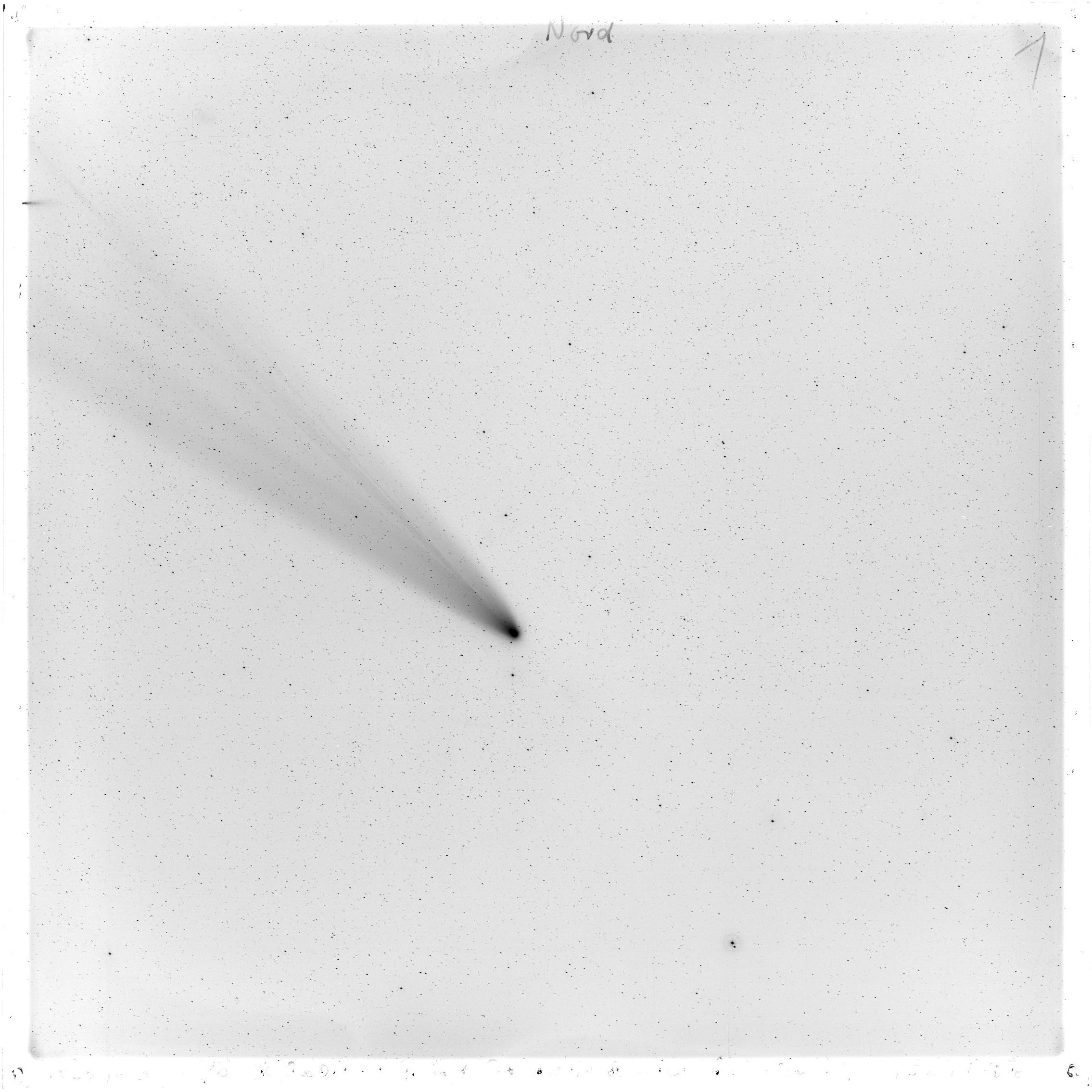 Scan GS00942
