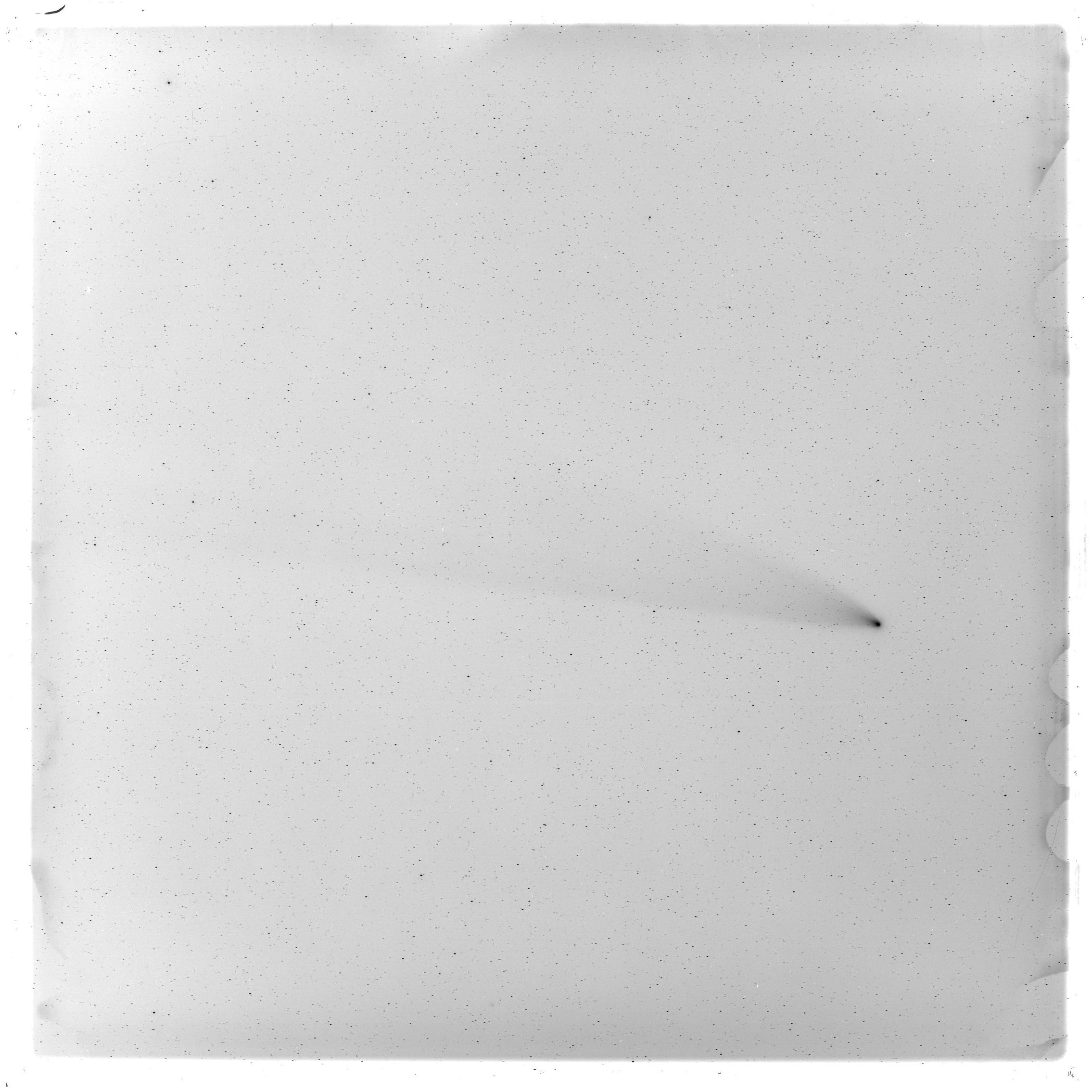 Scan GS00980