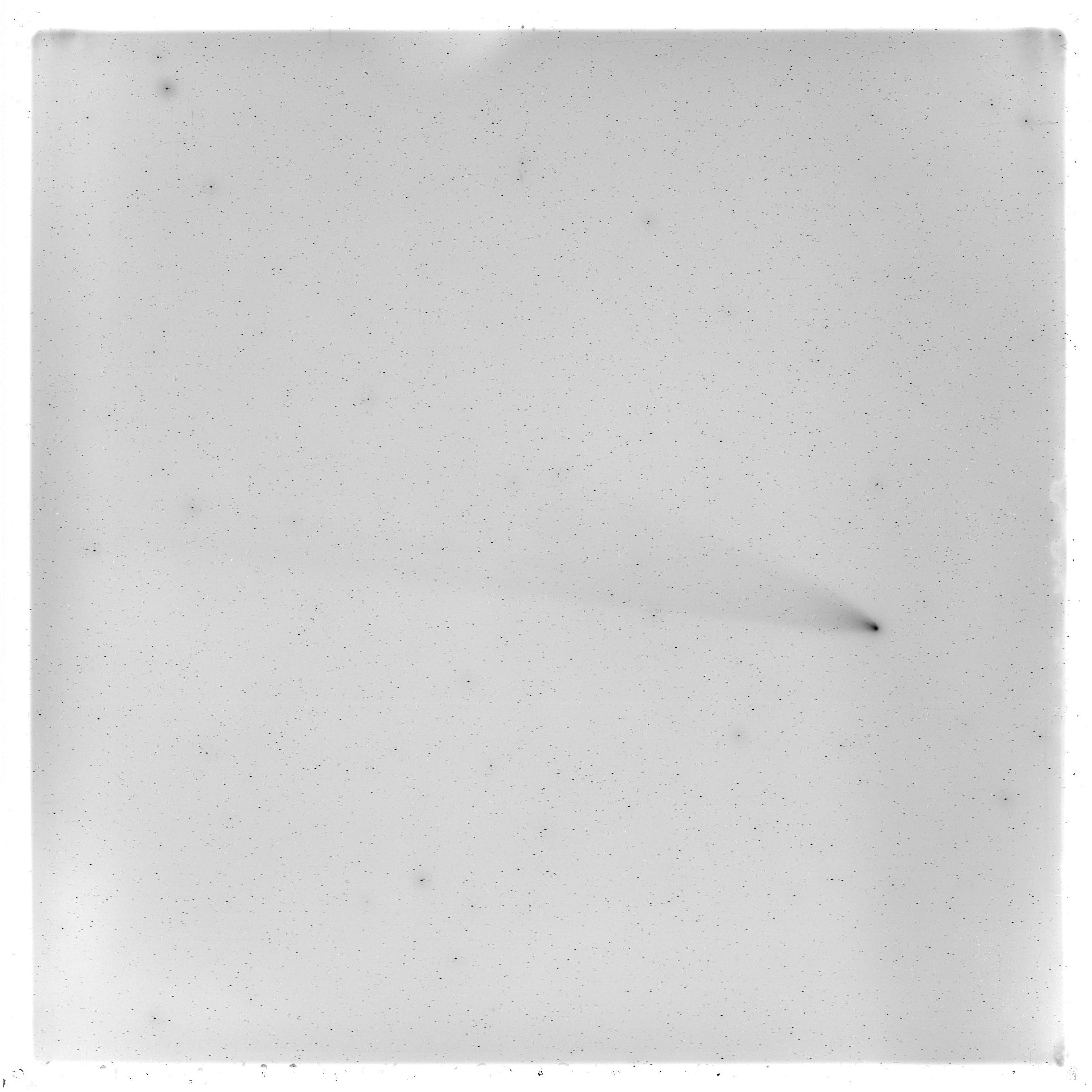 Scan GS00981