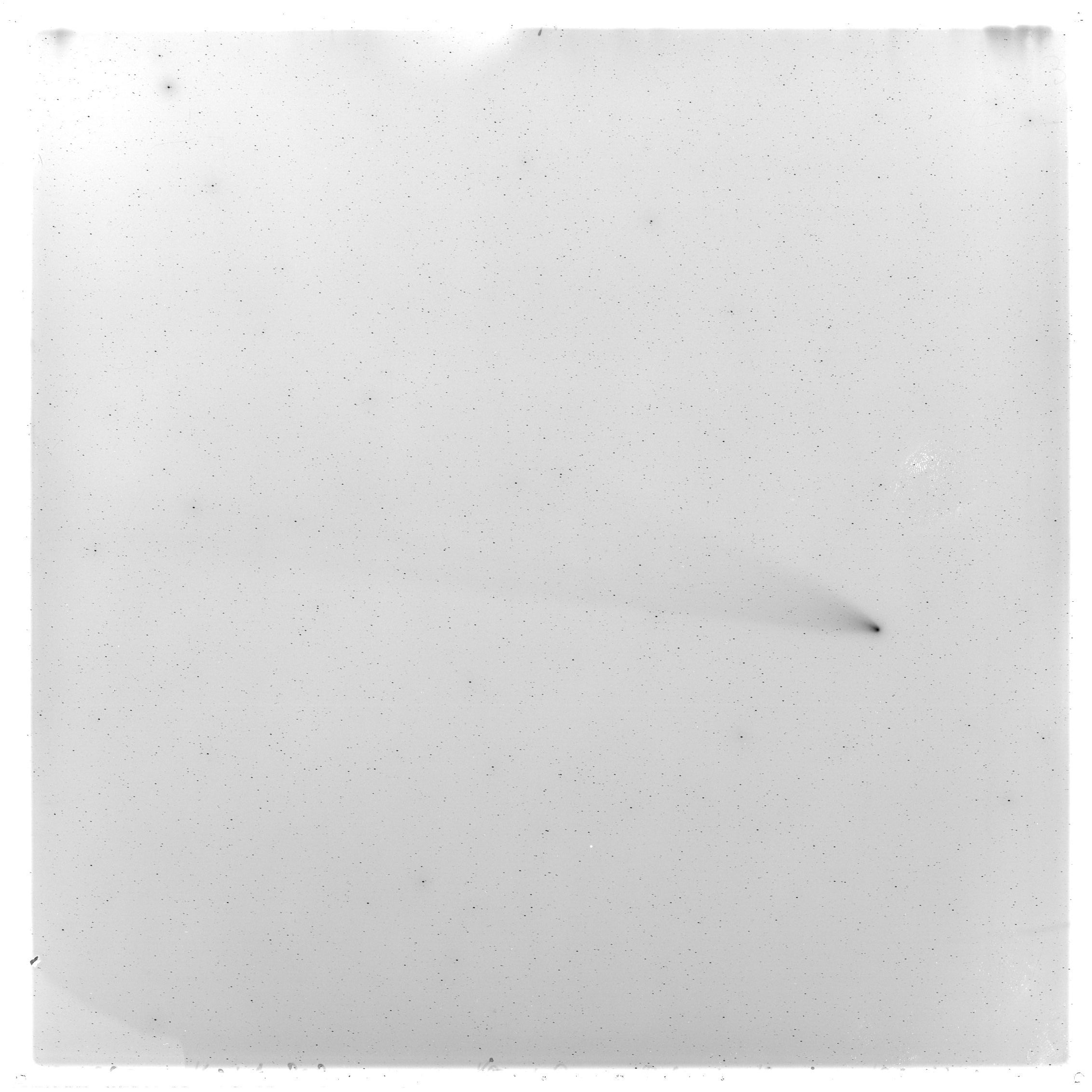 Scan GS00982