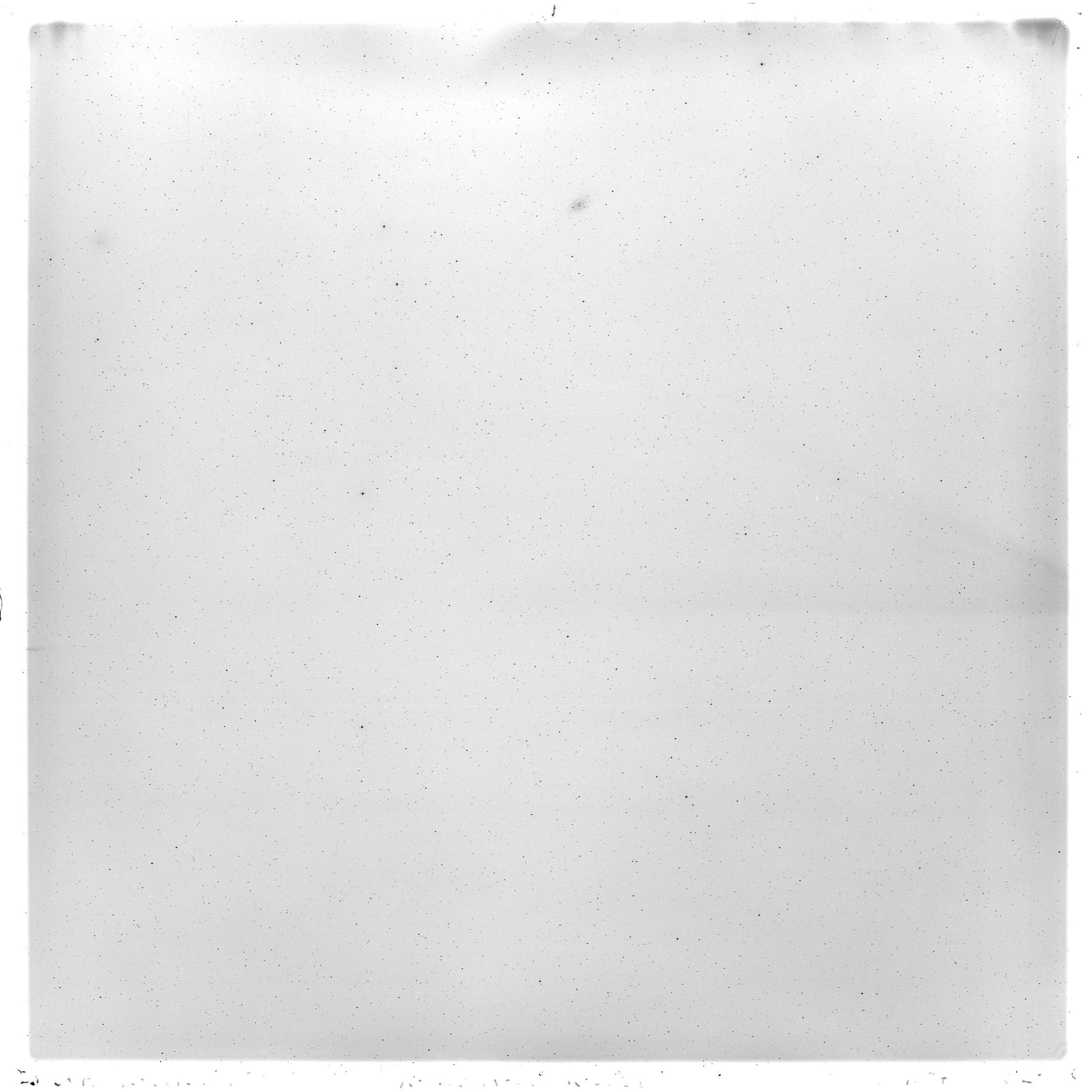 Scan GS00984