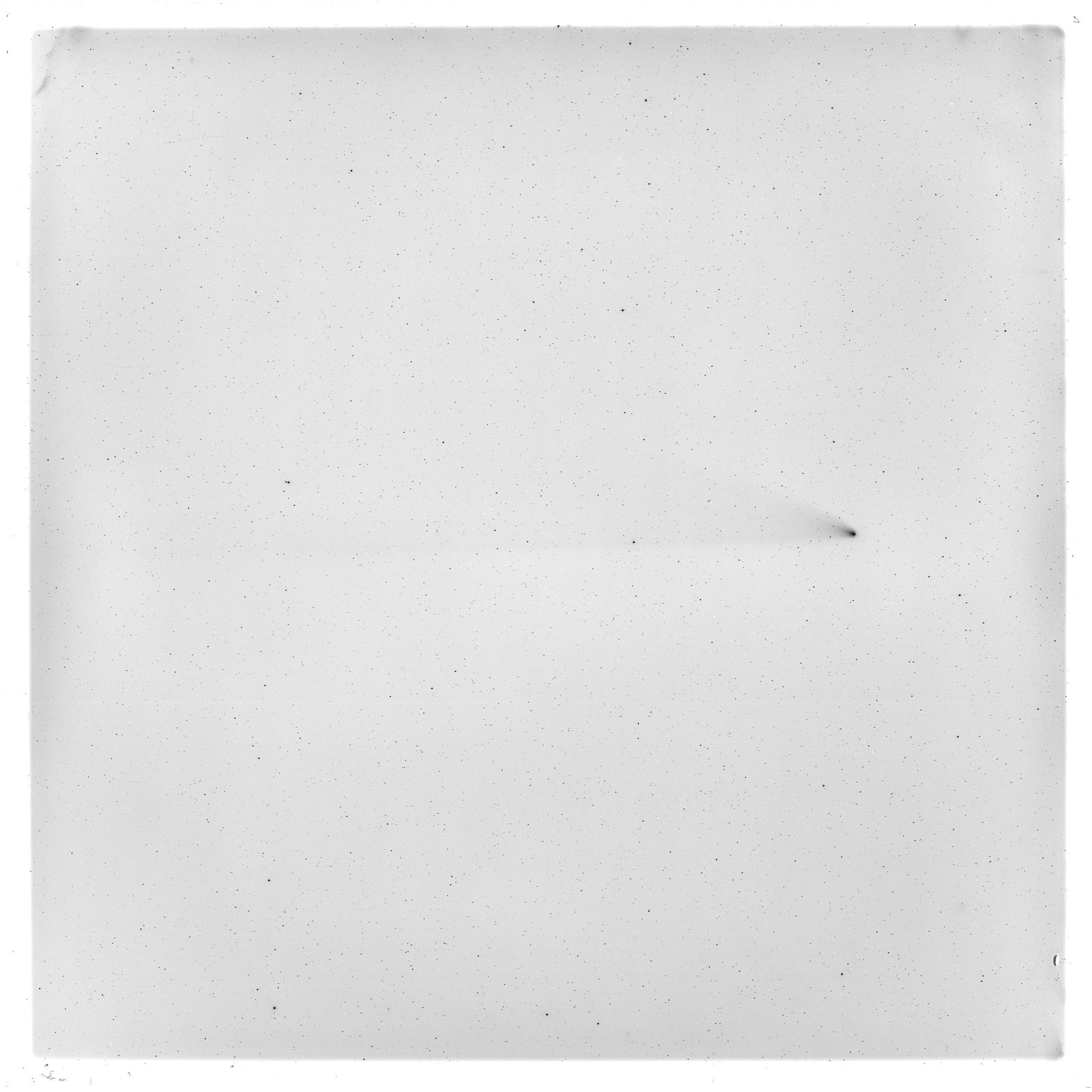 Scan GS00996