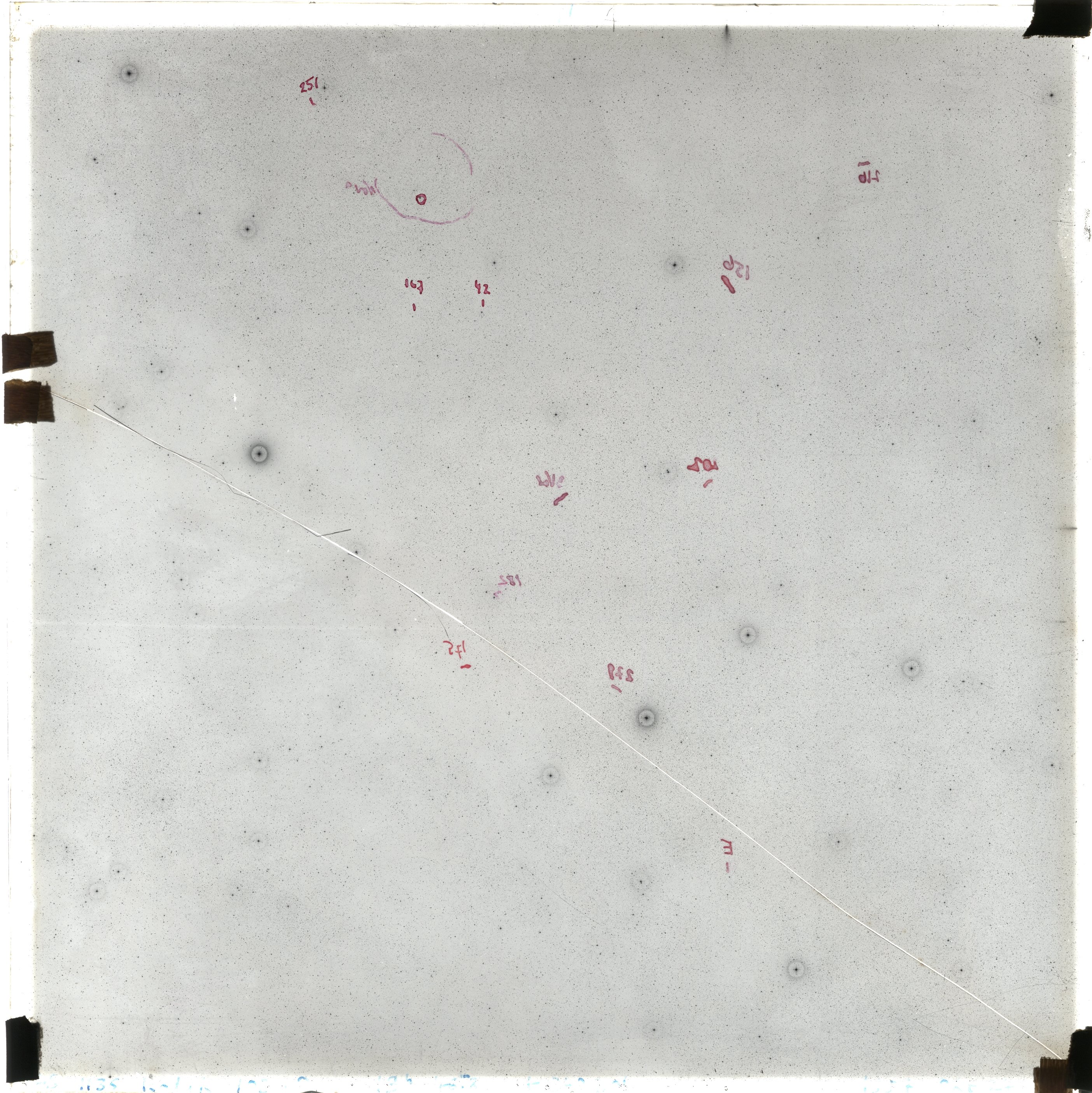 Scan GS01136