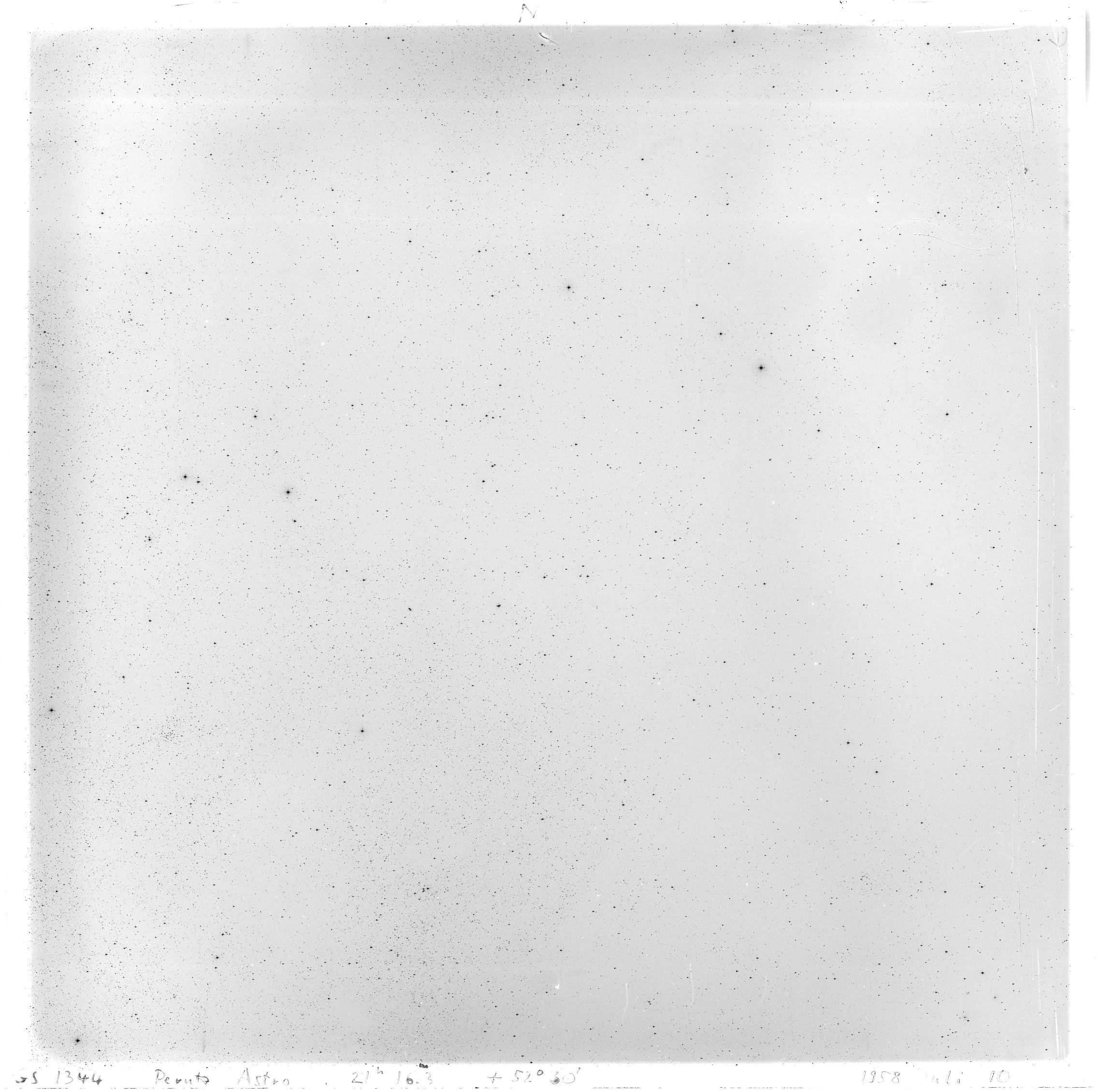 Scan GS01344