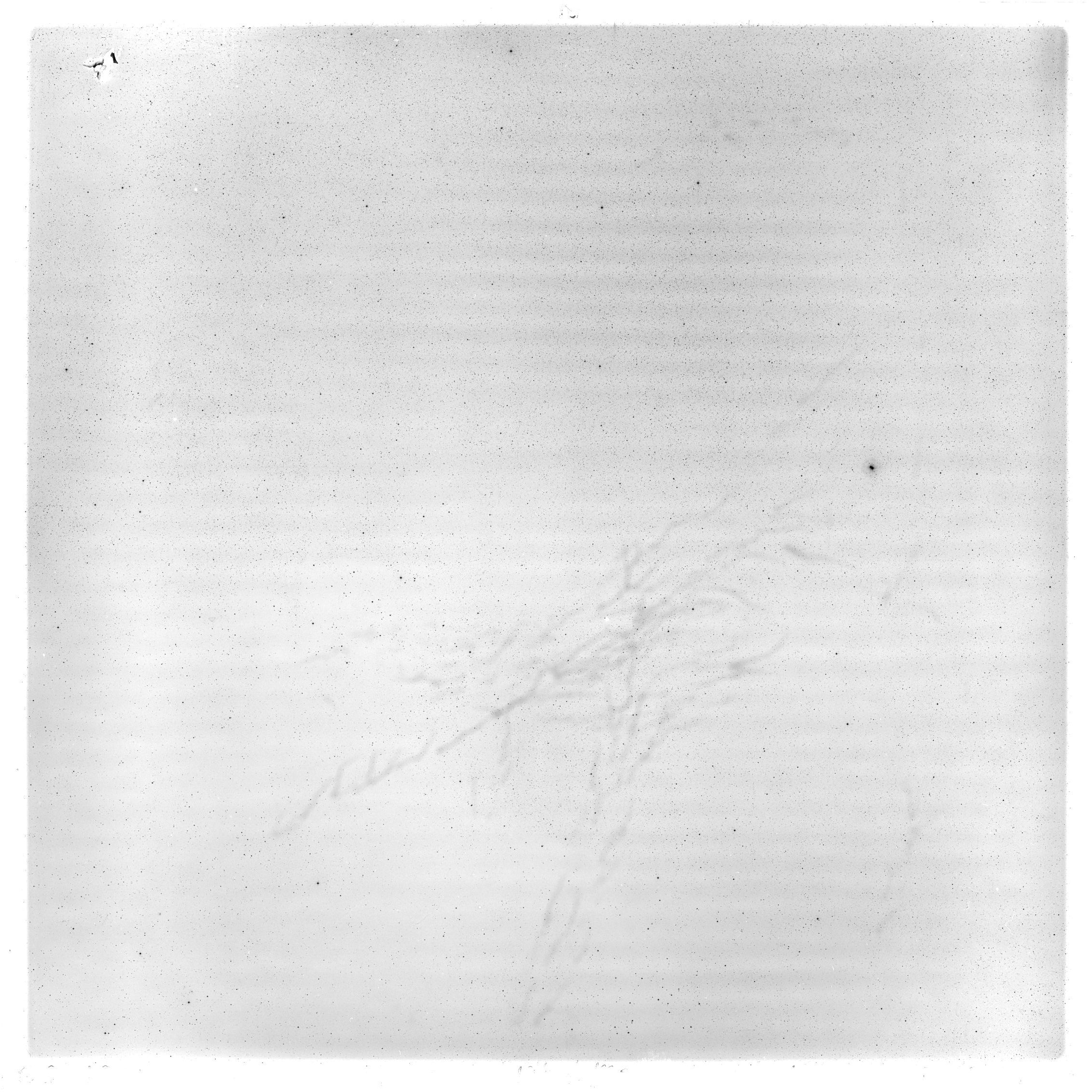 Scan GS01807