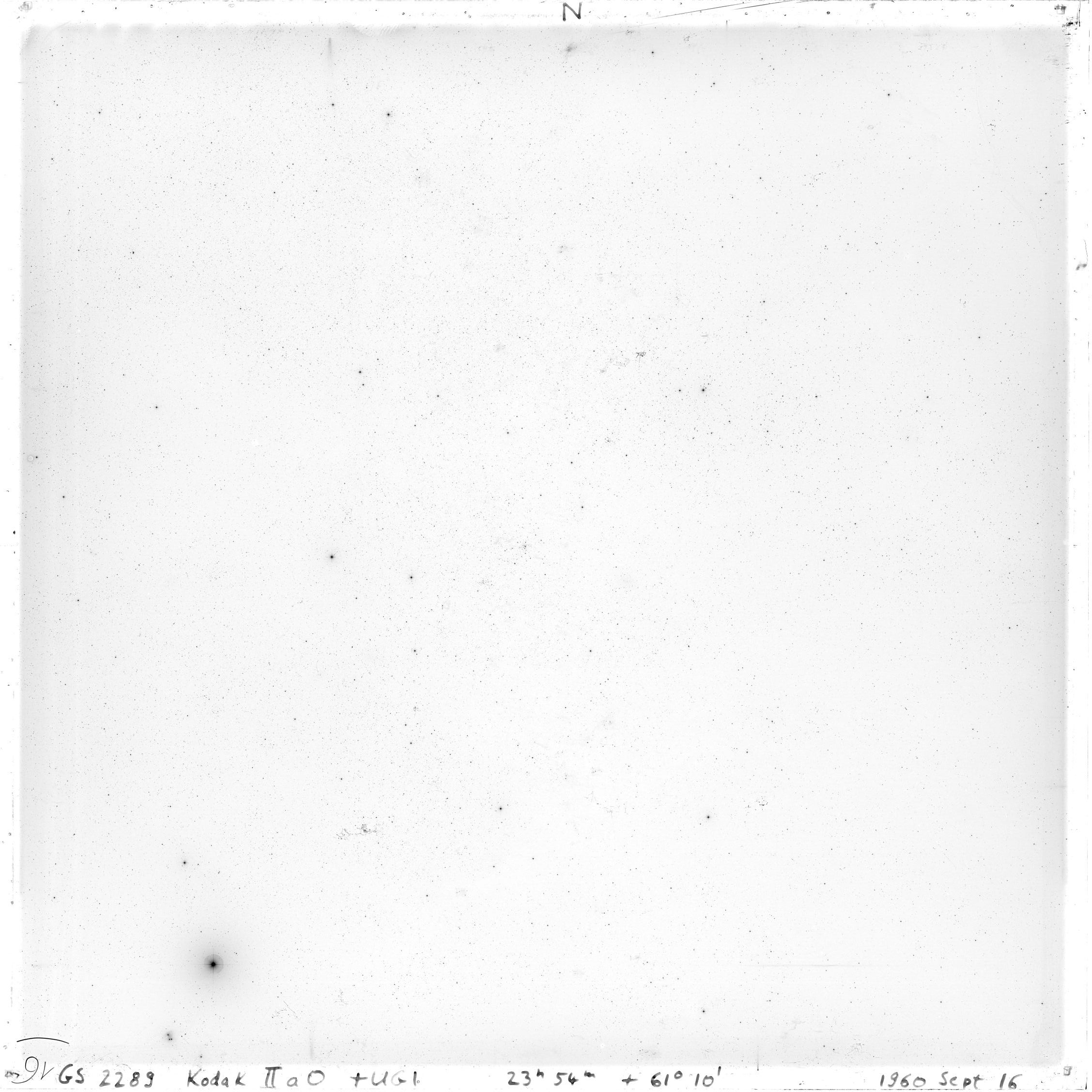 Scan GS02289