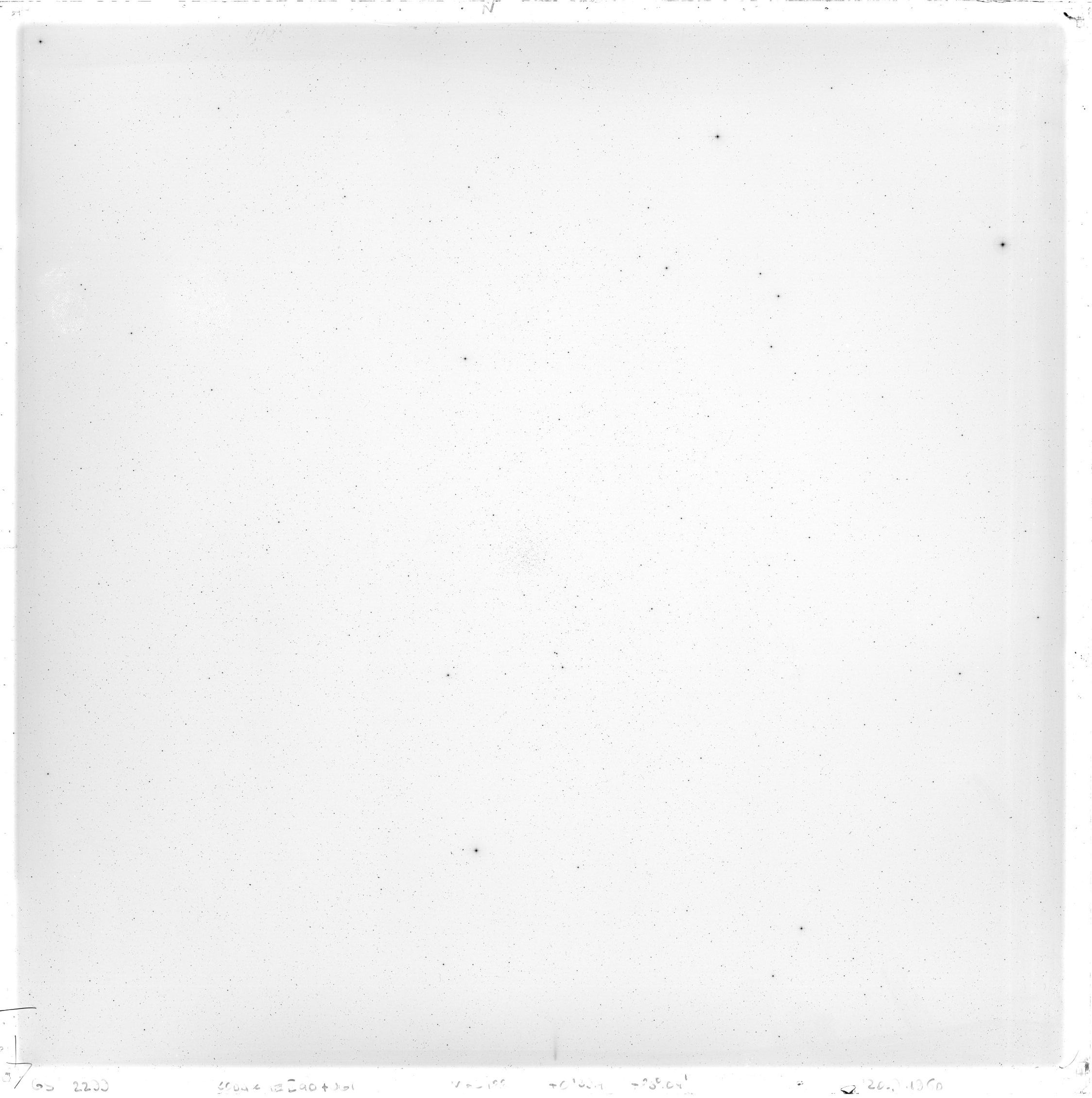 Scan GS02299