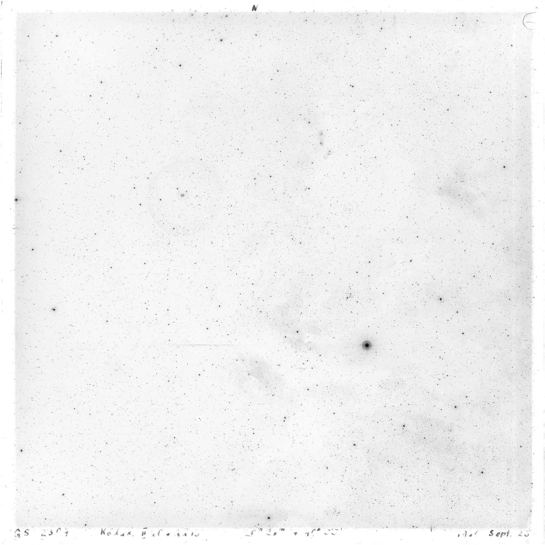 Scan GS02309