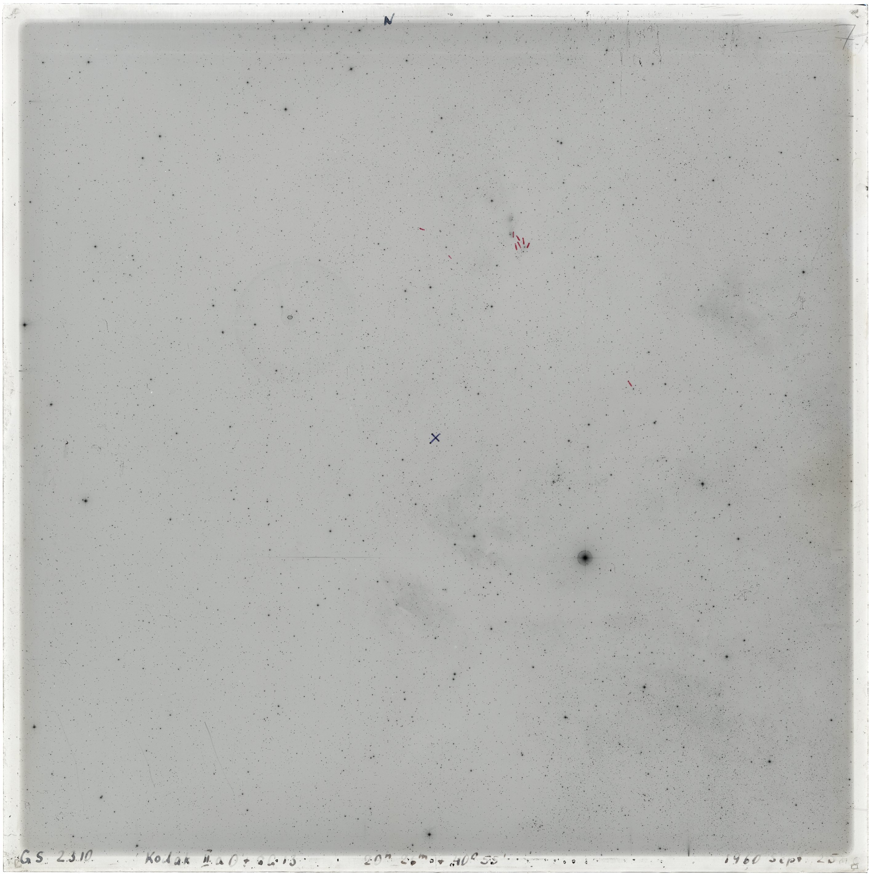 Scan GS02310