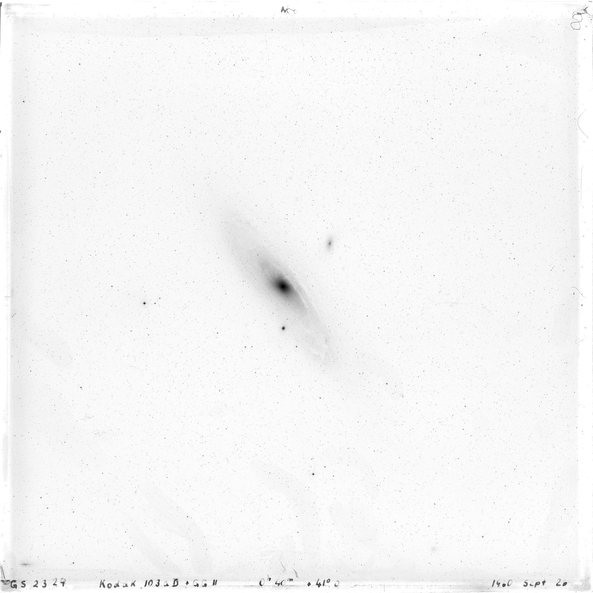 Scan GS02324