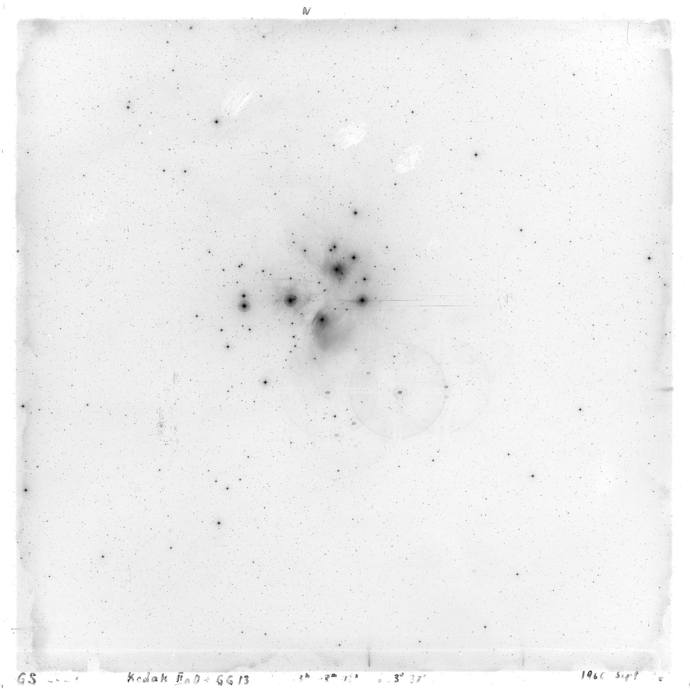 Scan GS02328