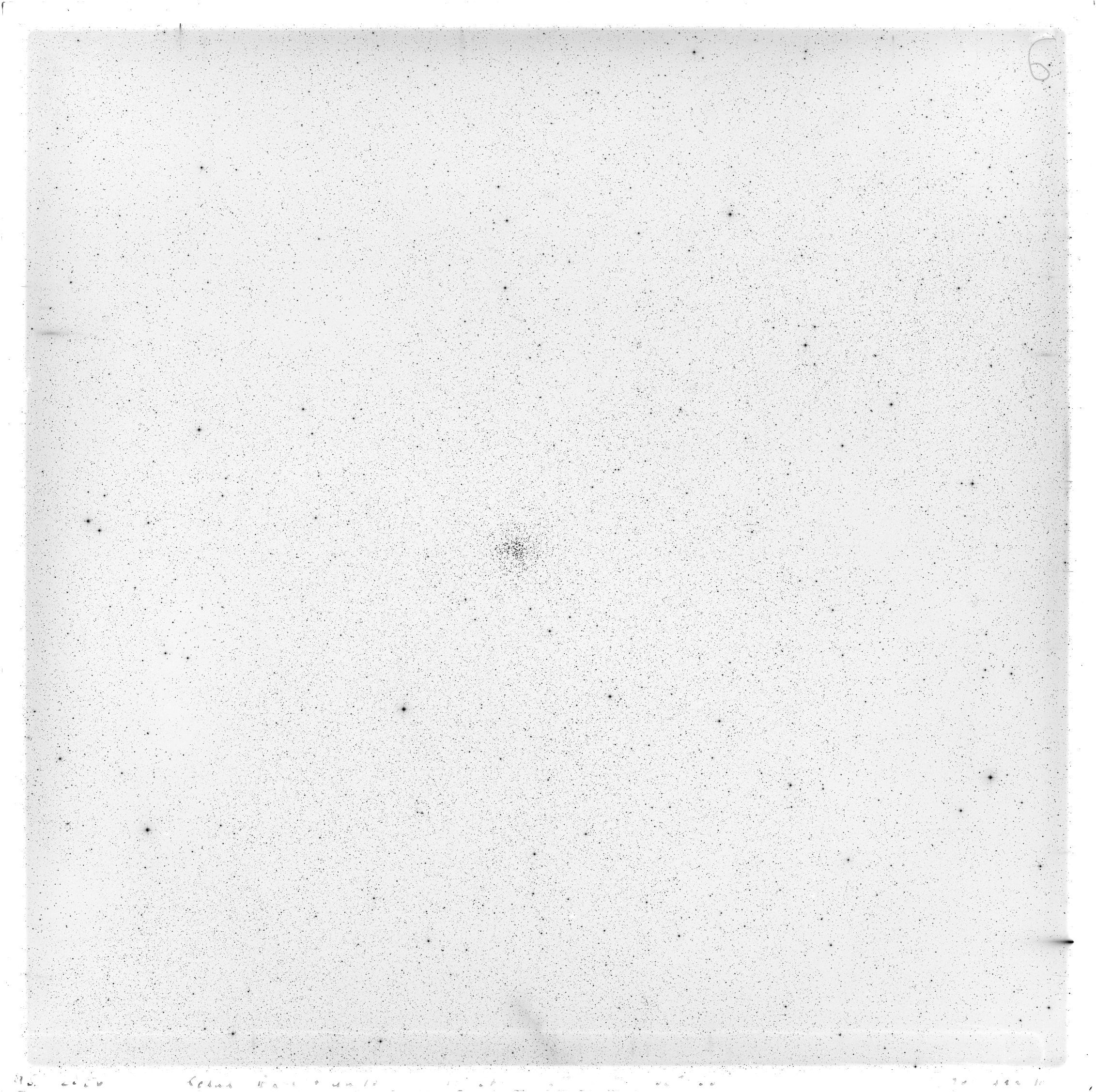 Scan GS02356