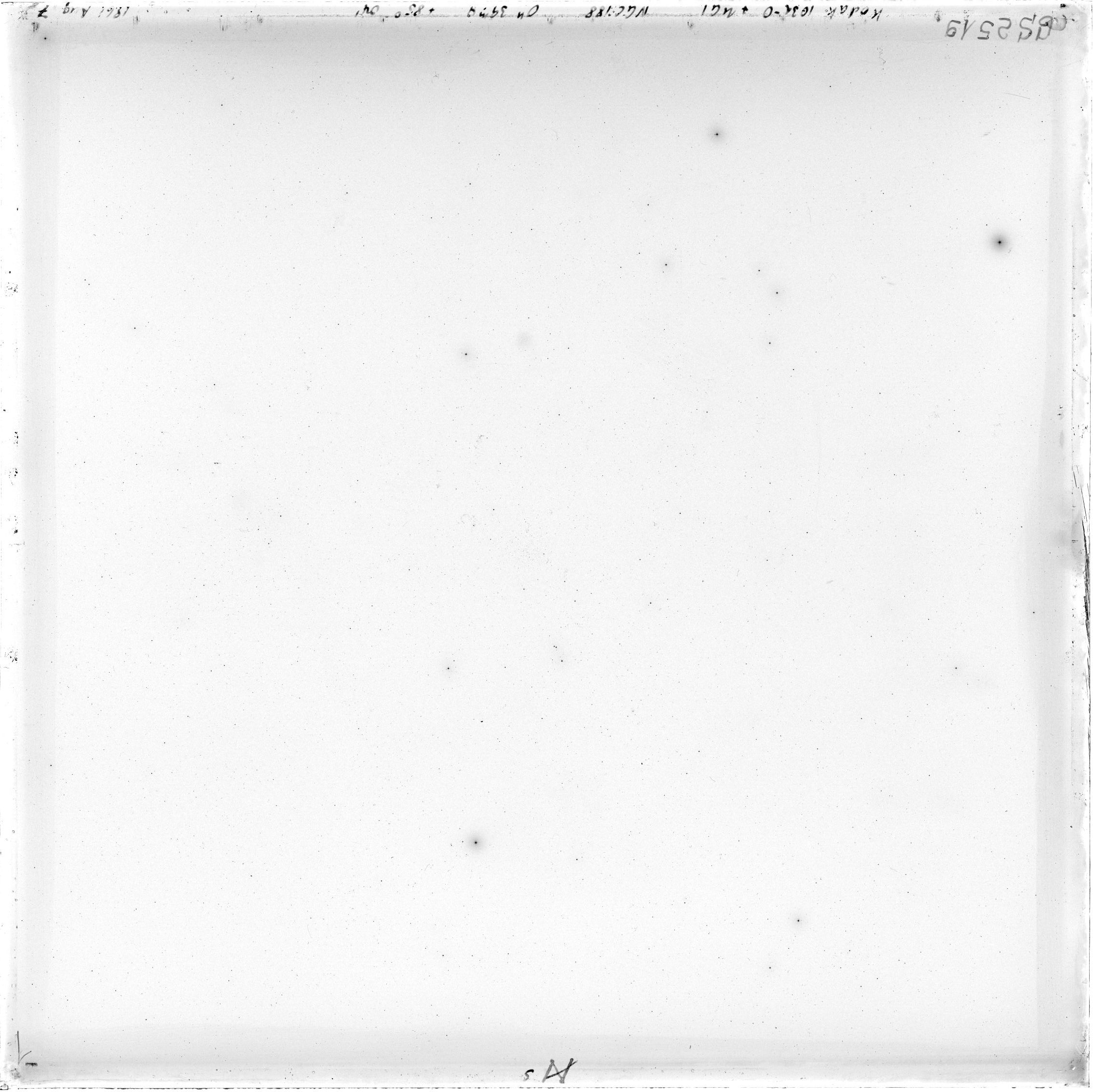 Scan GS02519