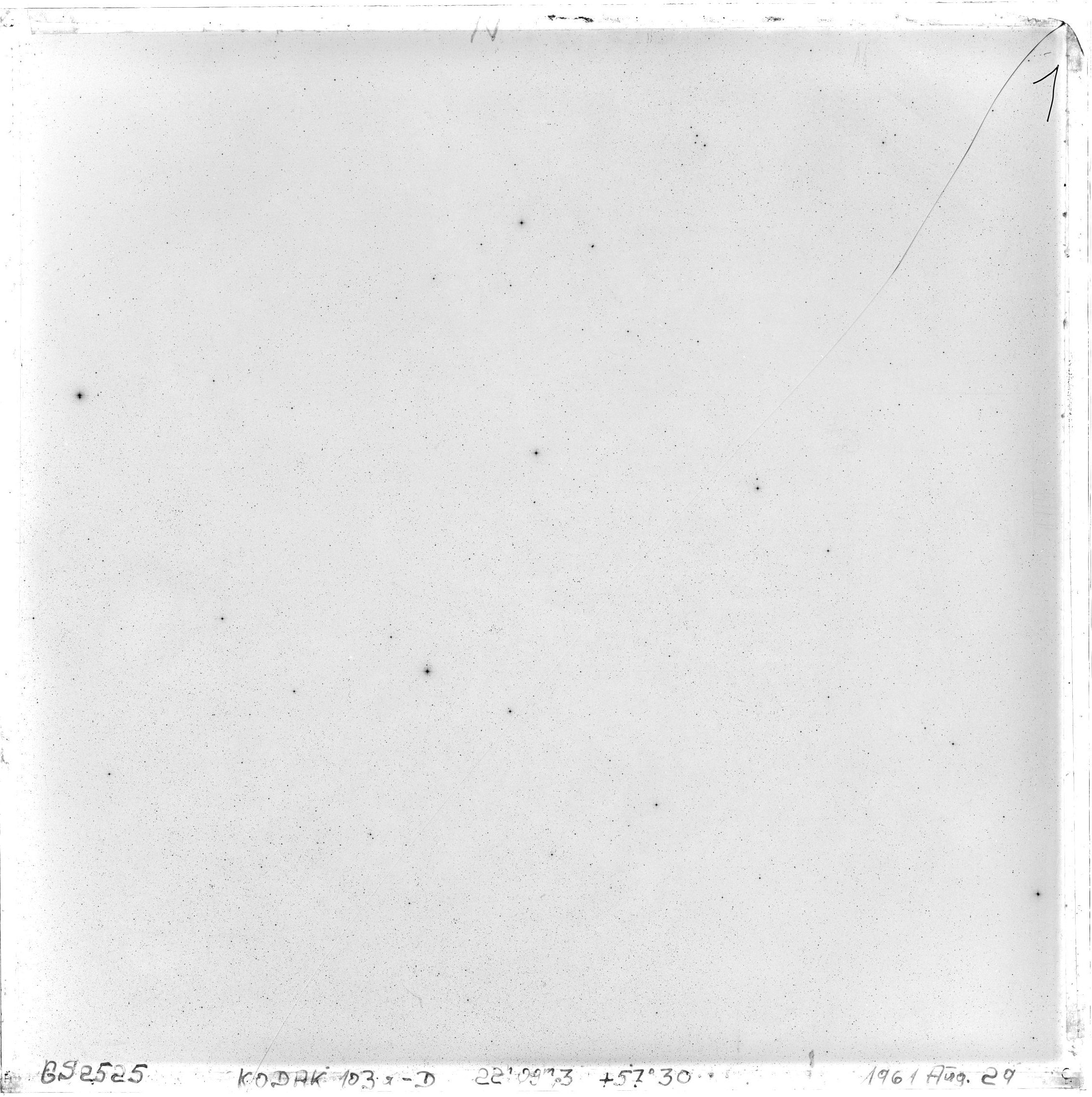 Scan GS02525