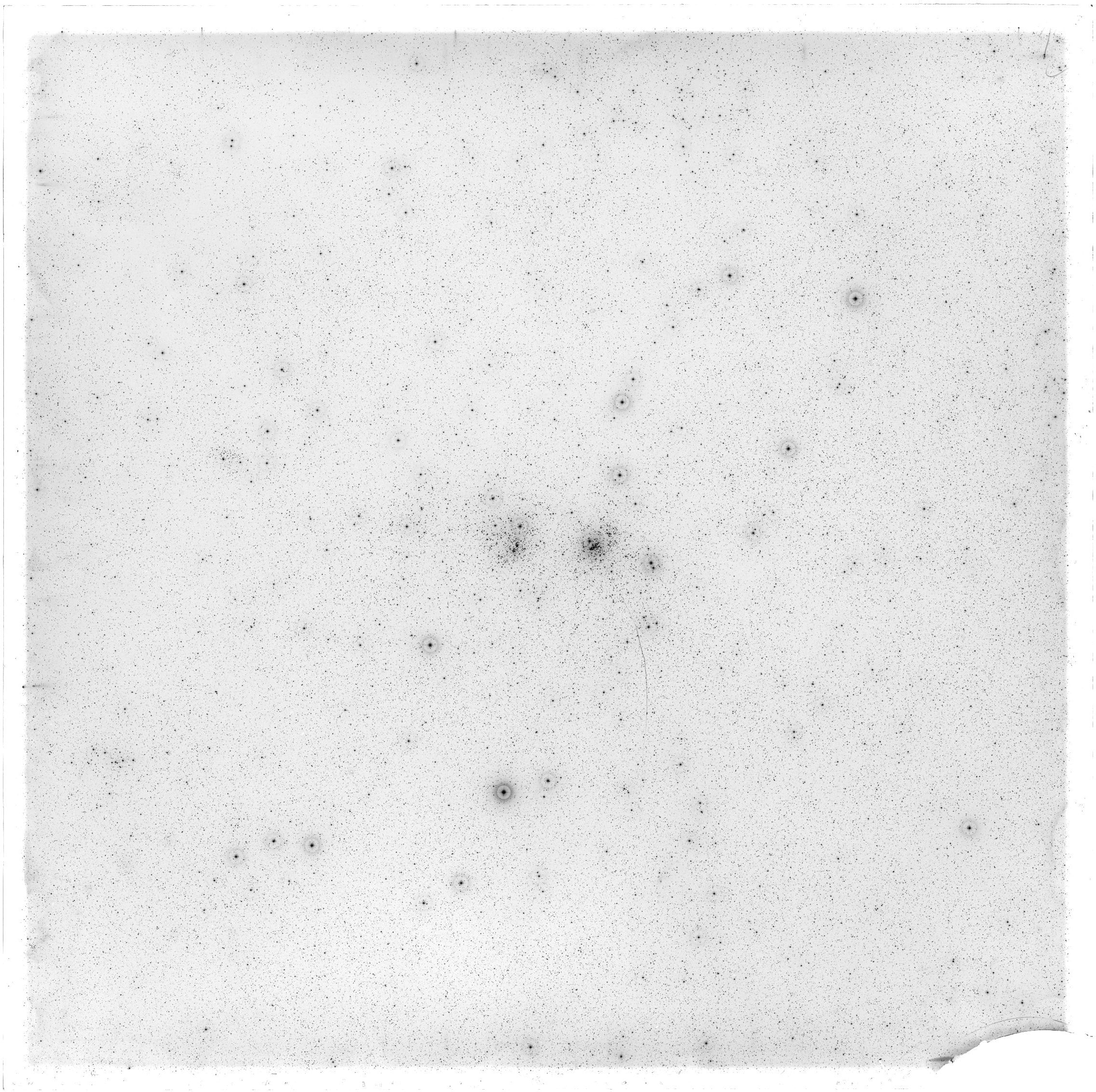 Scan GS02559