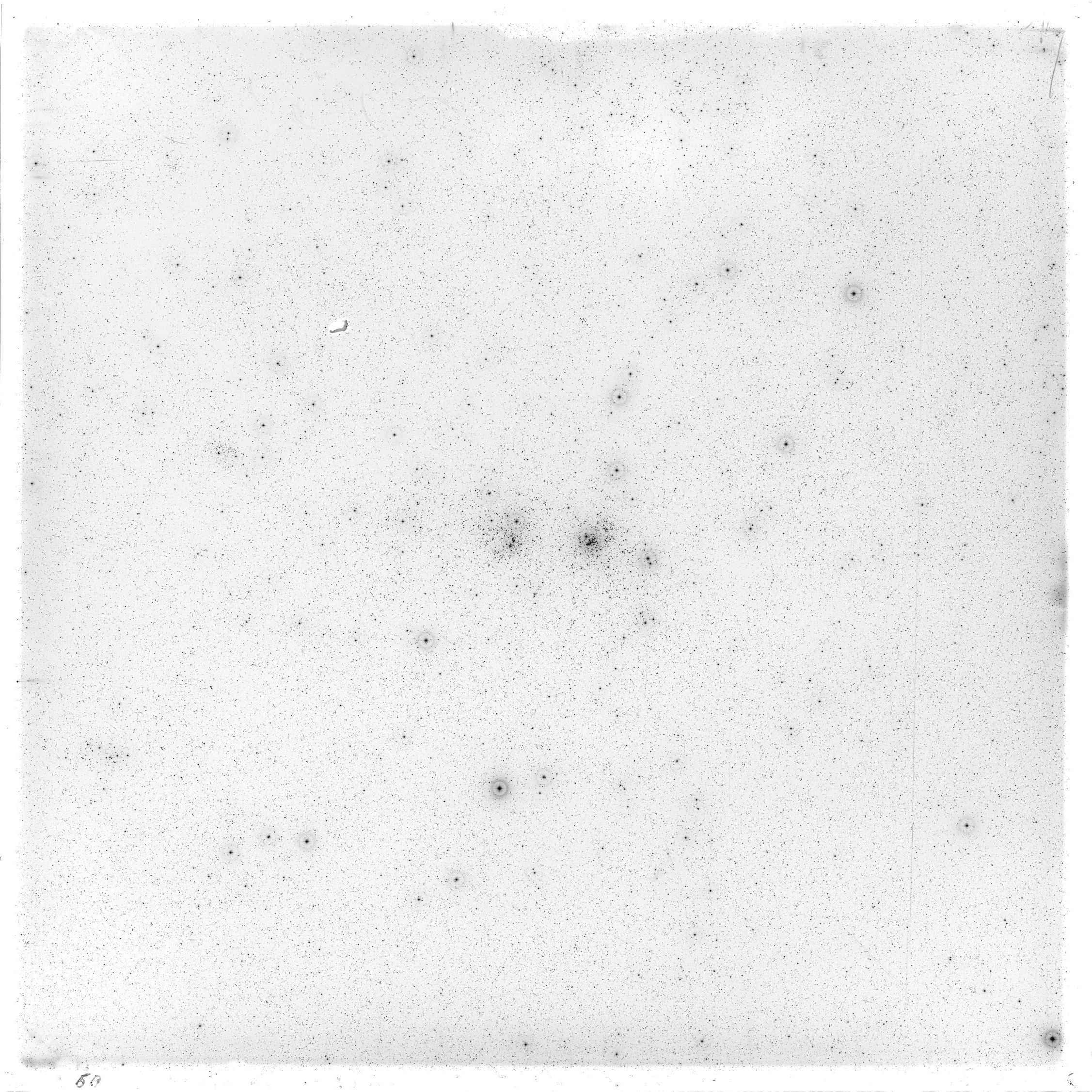 Scan GS02560