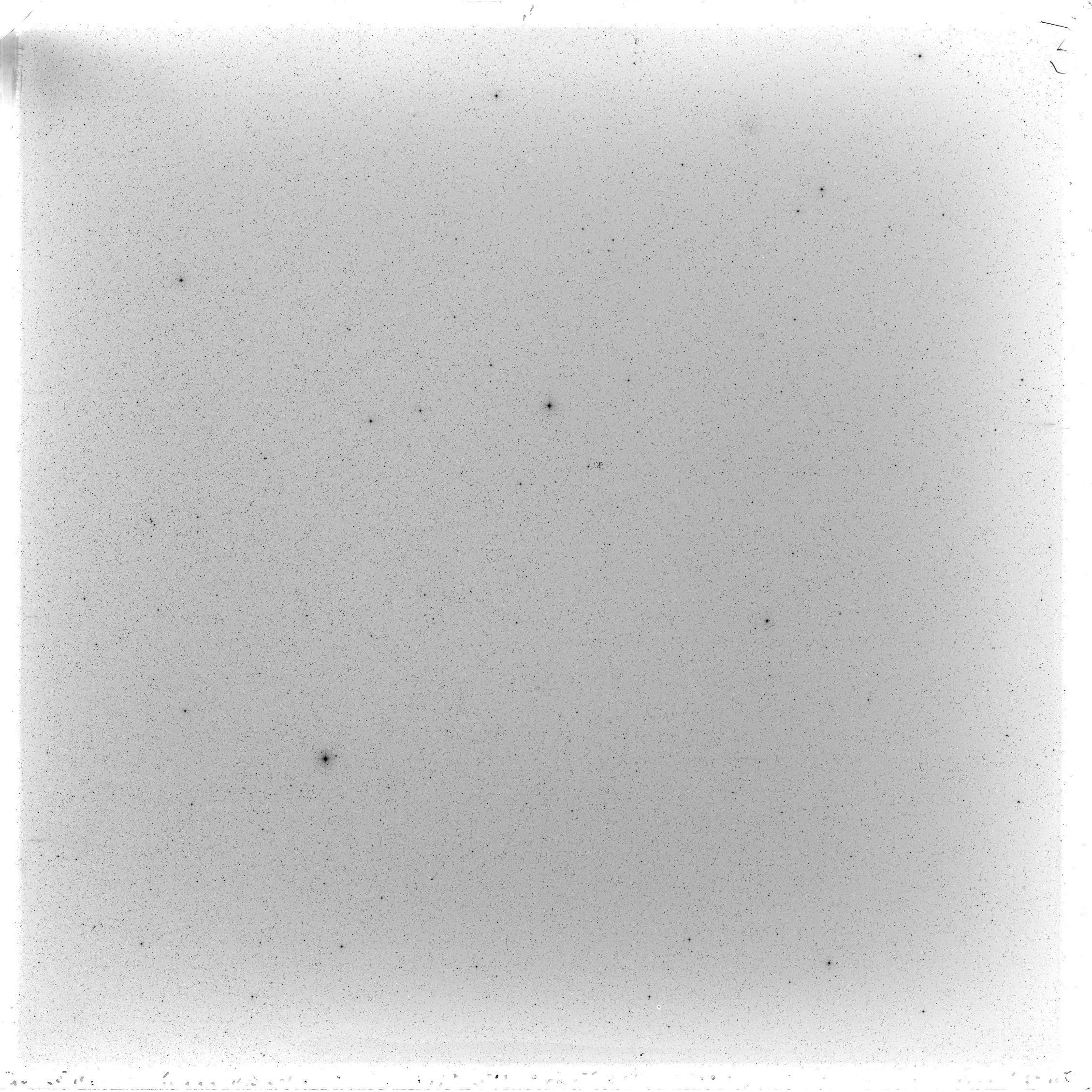 Scan GS02590