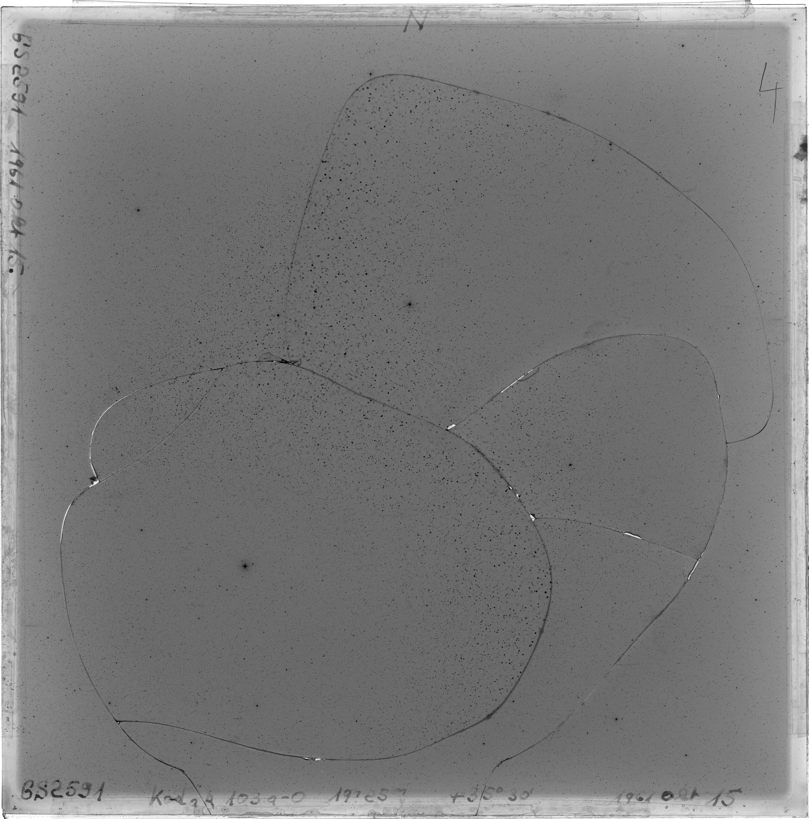Scan GS02591