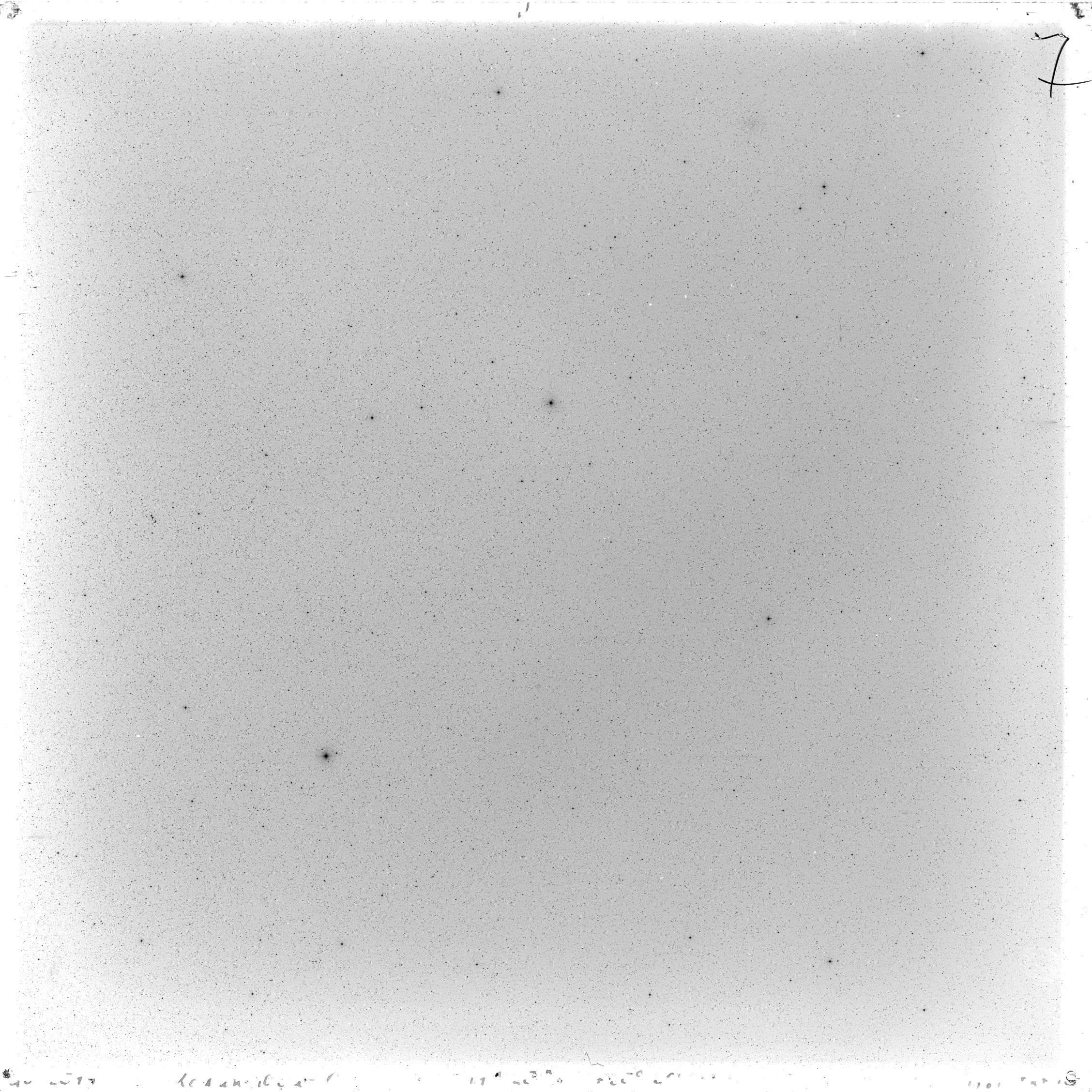 Scan GS02594