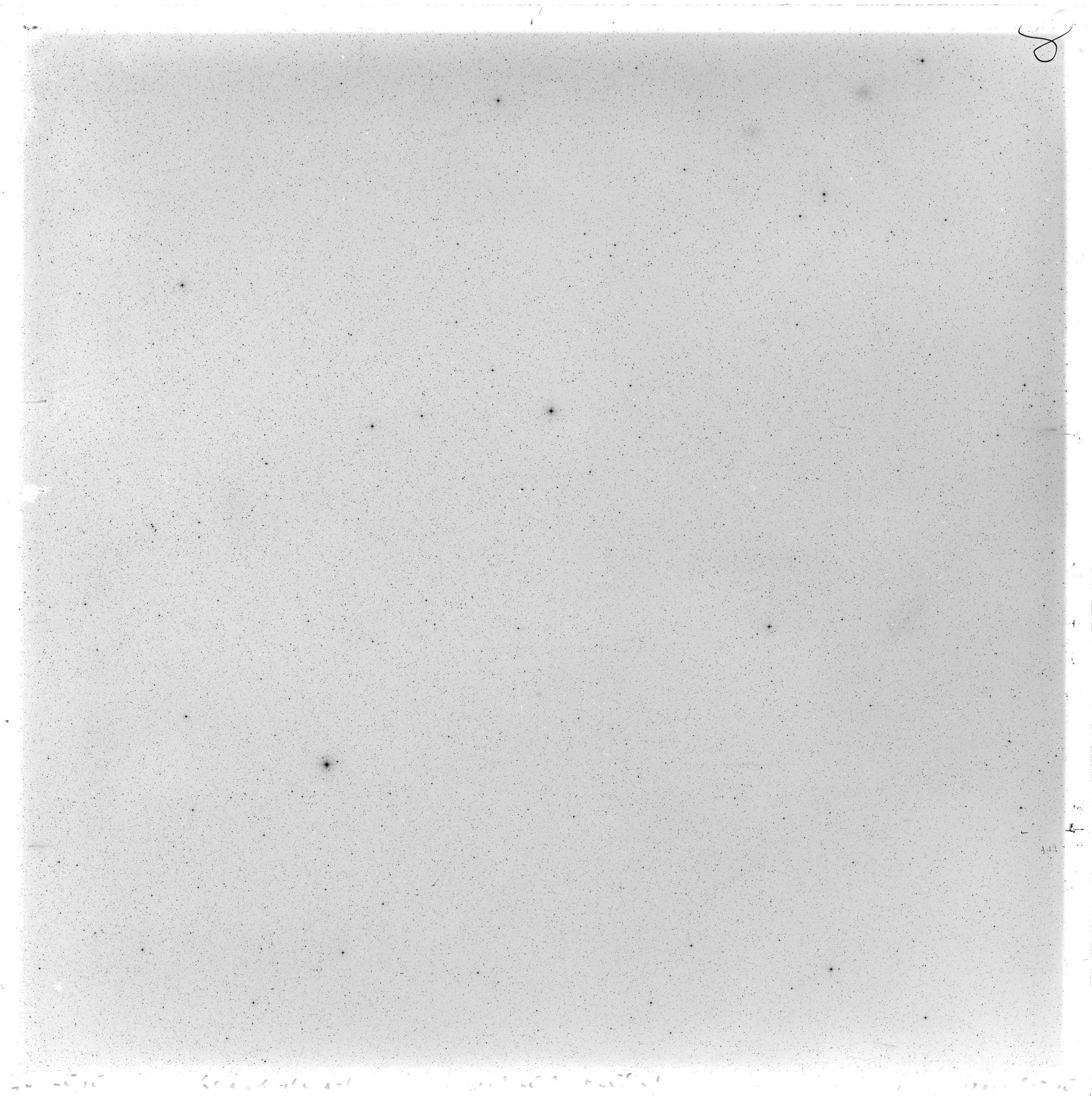 Scan GS02595