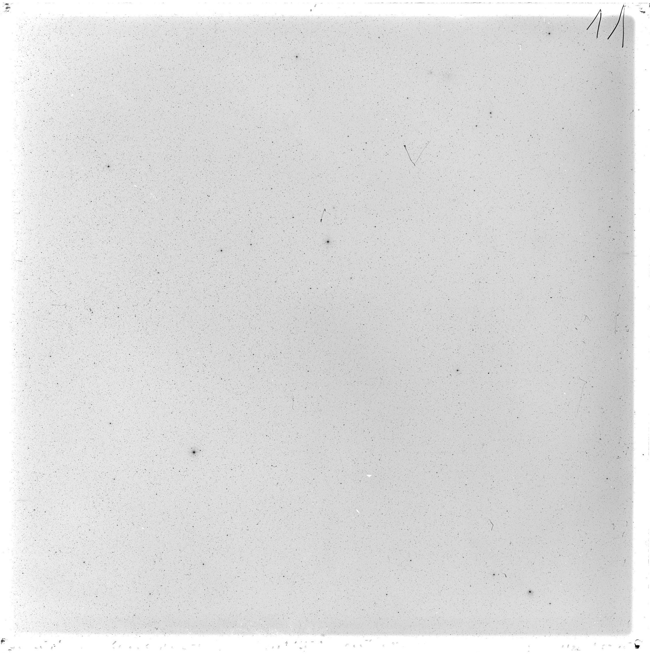 Scan GS02598