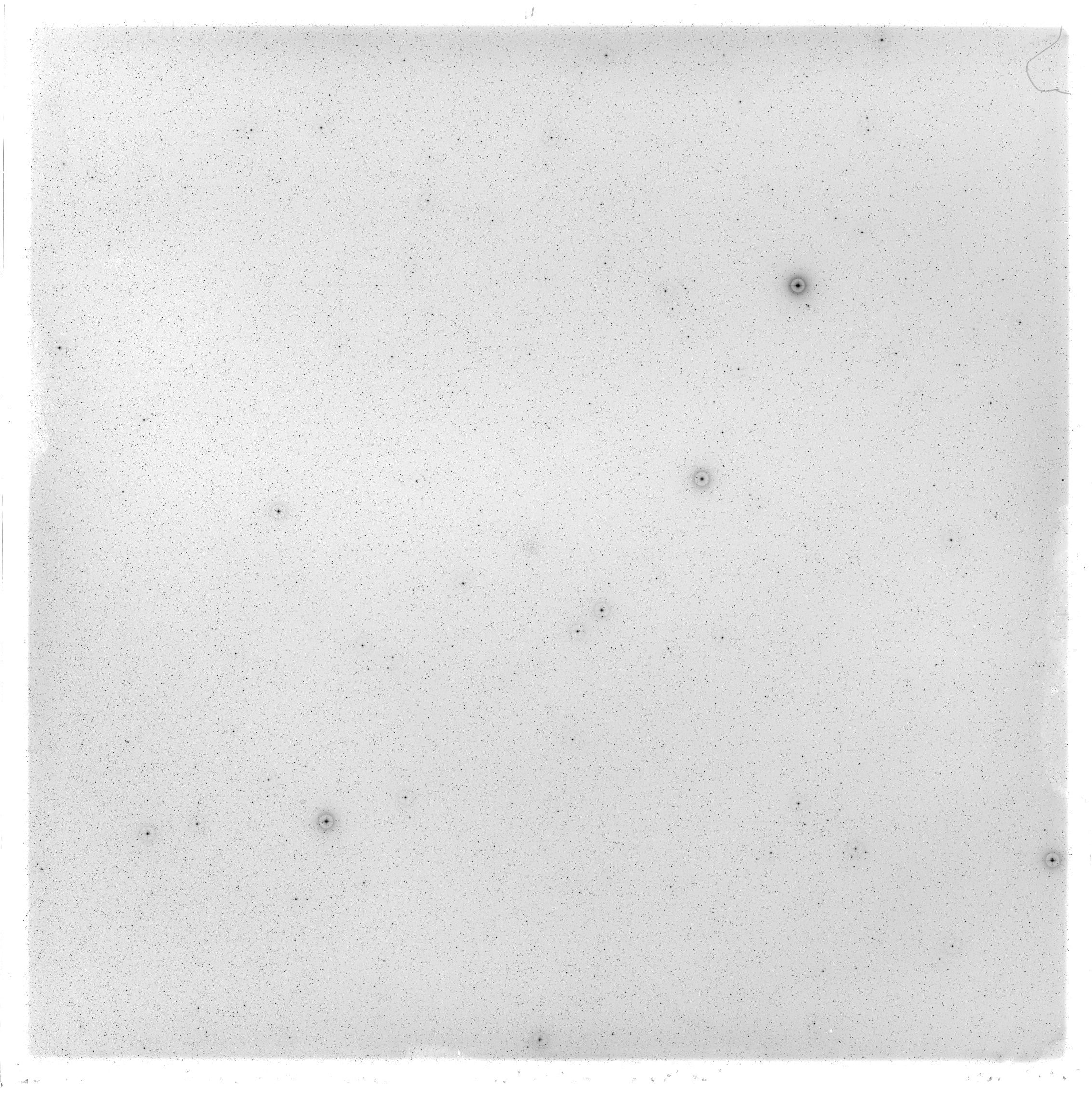 Scan GS02600