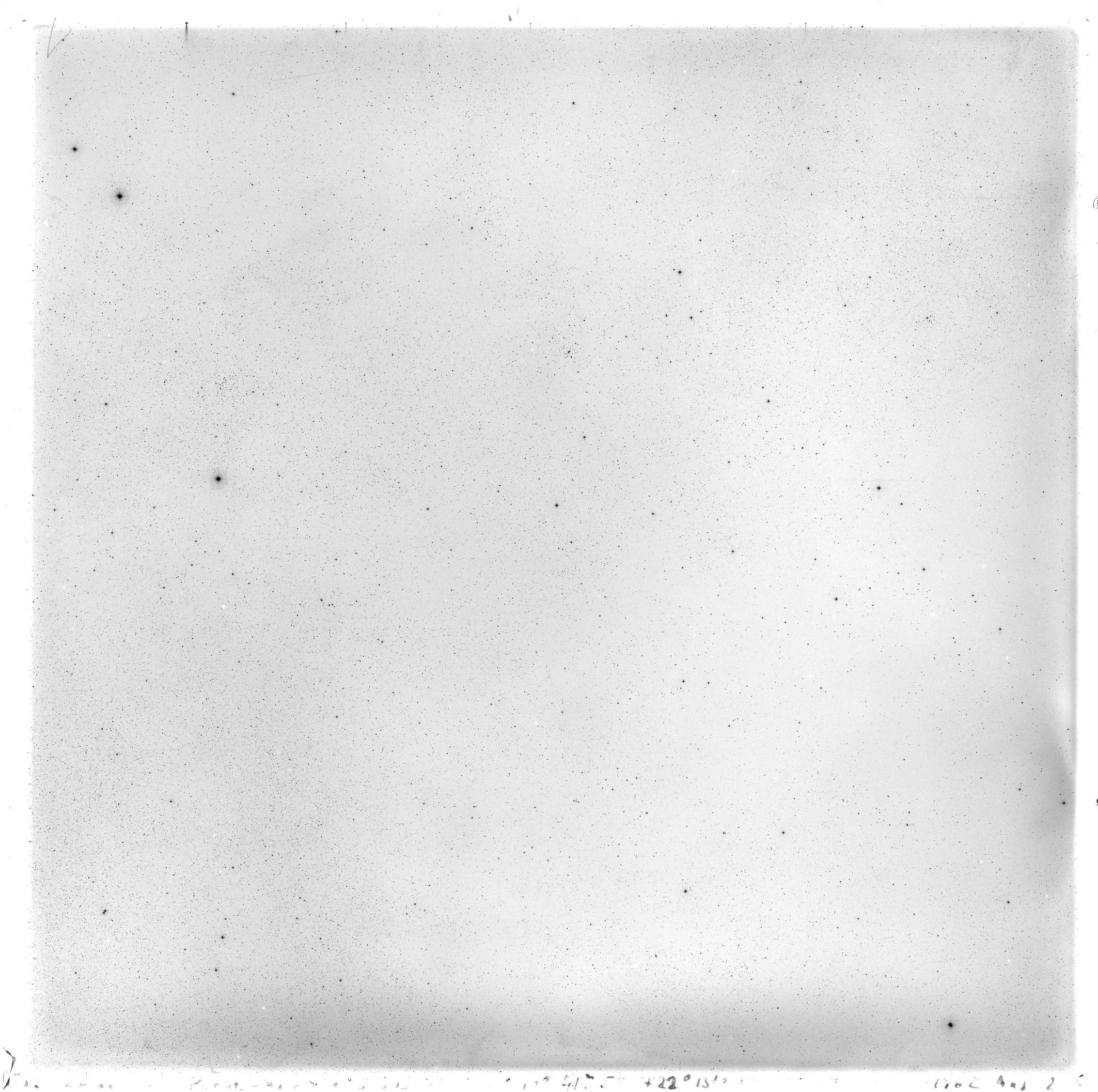 Scan GS02666