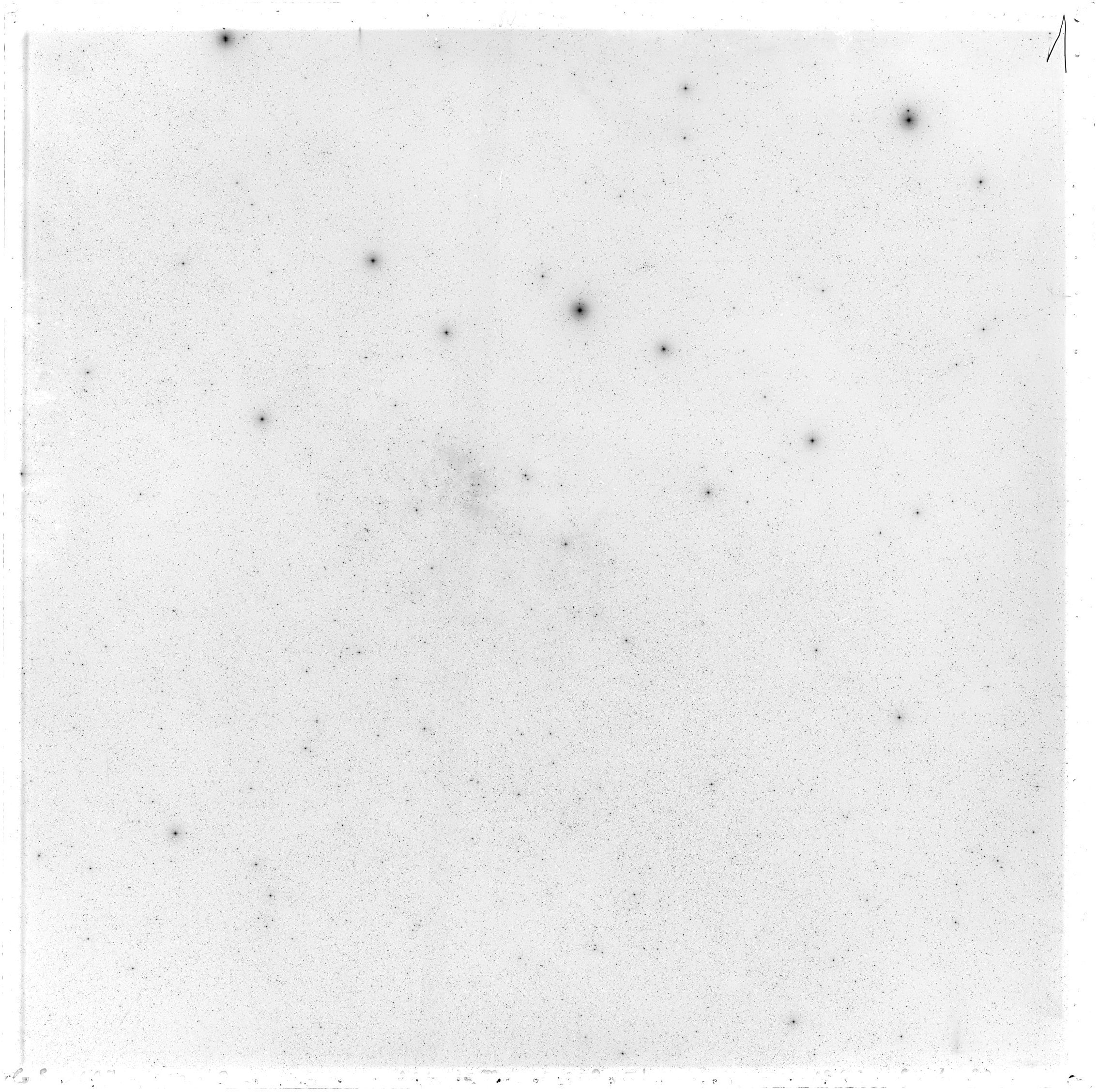Scan GS02697
