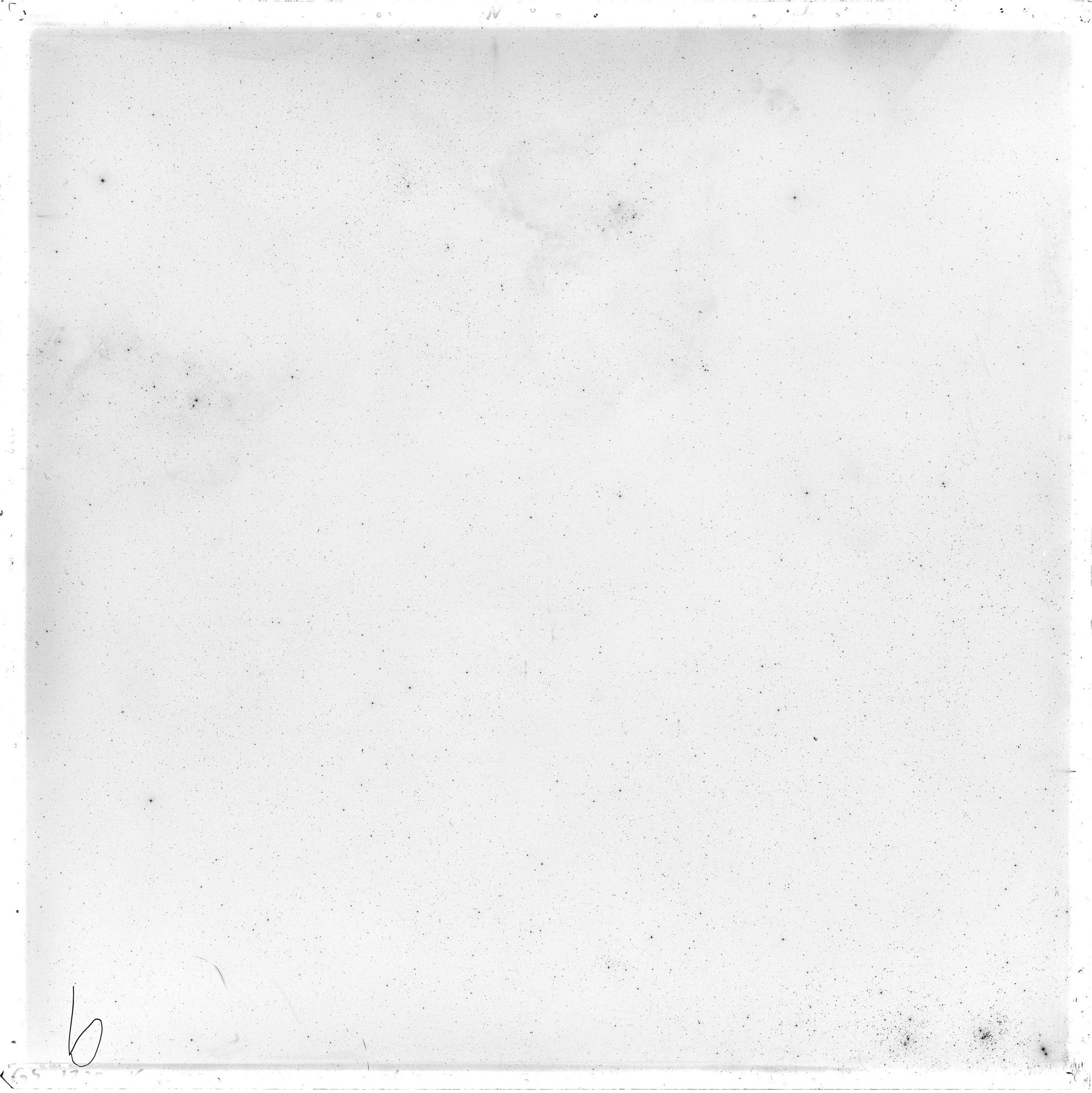 Scan GS02725