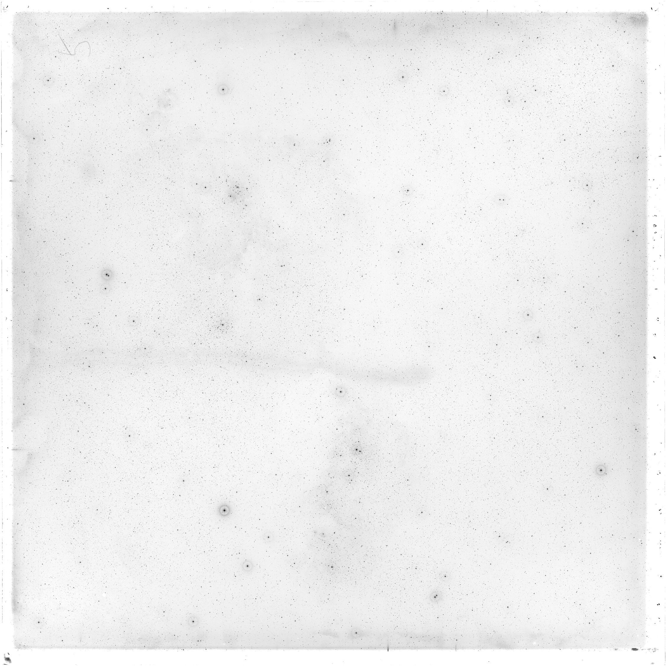 Scan GS02768