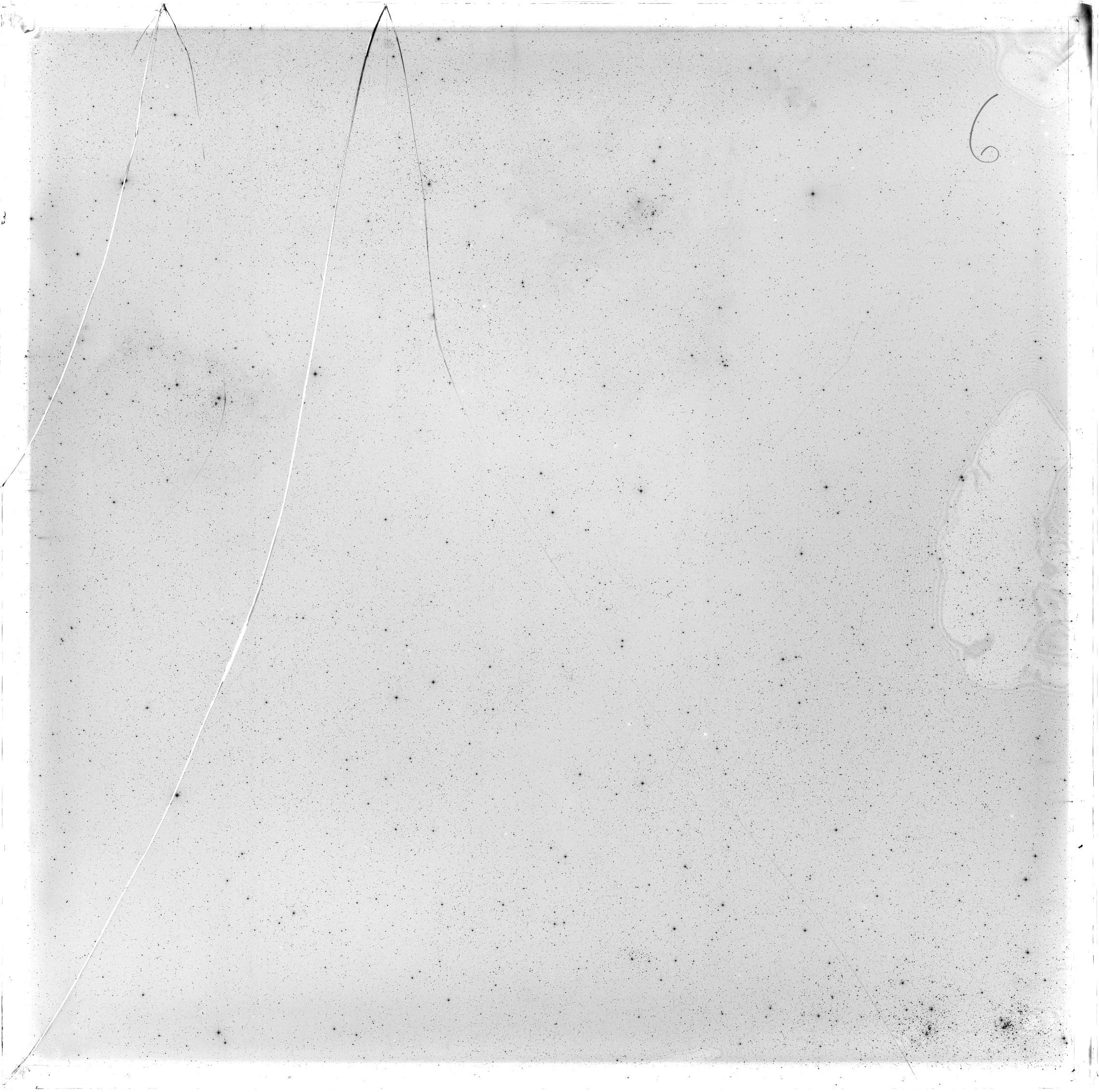 Scan GS02769