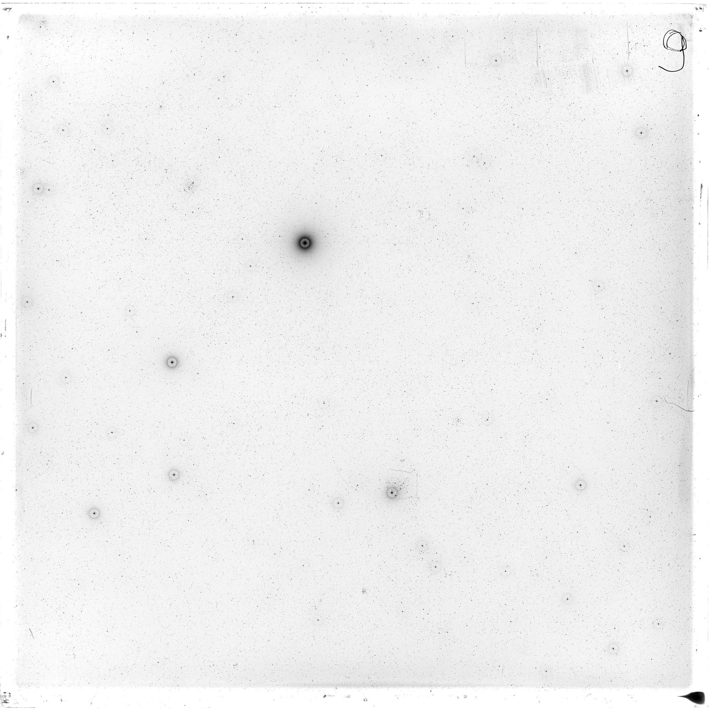 Scan GS02784