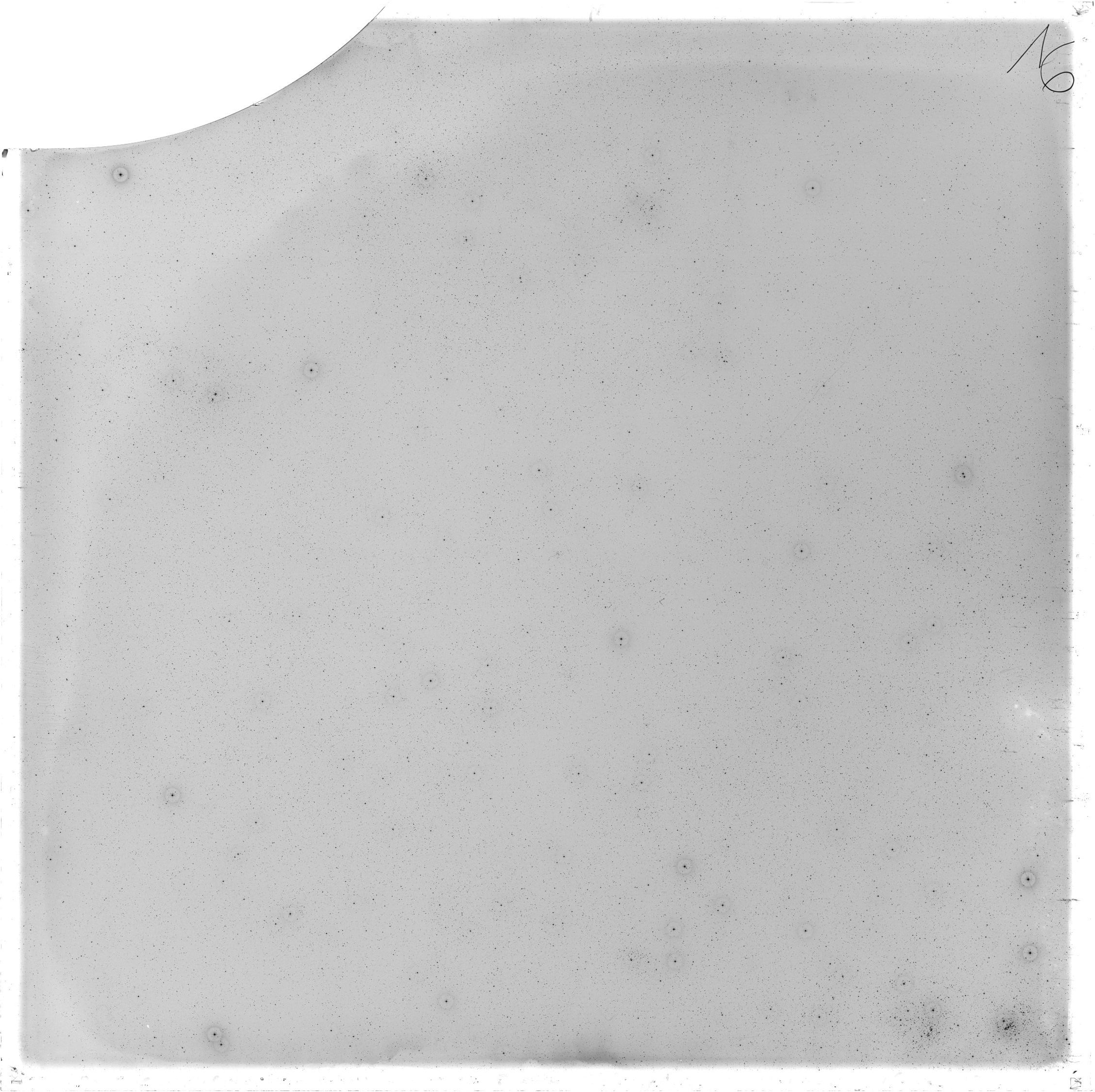 Scan GS02789