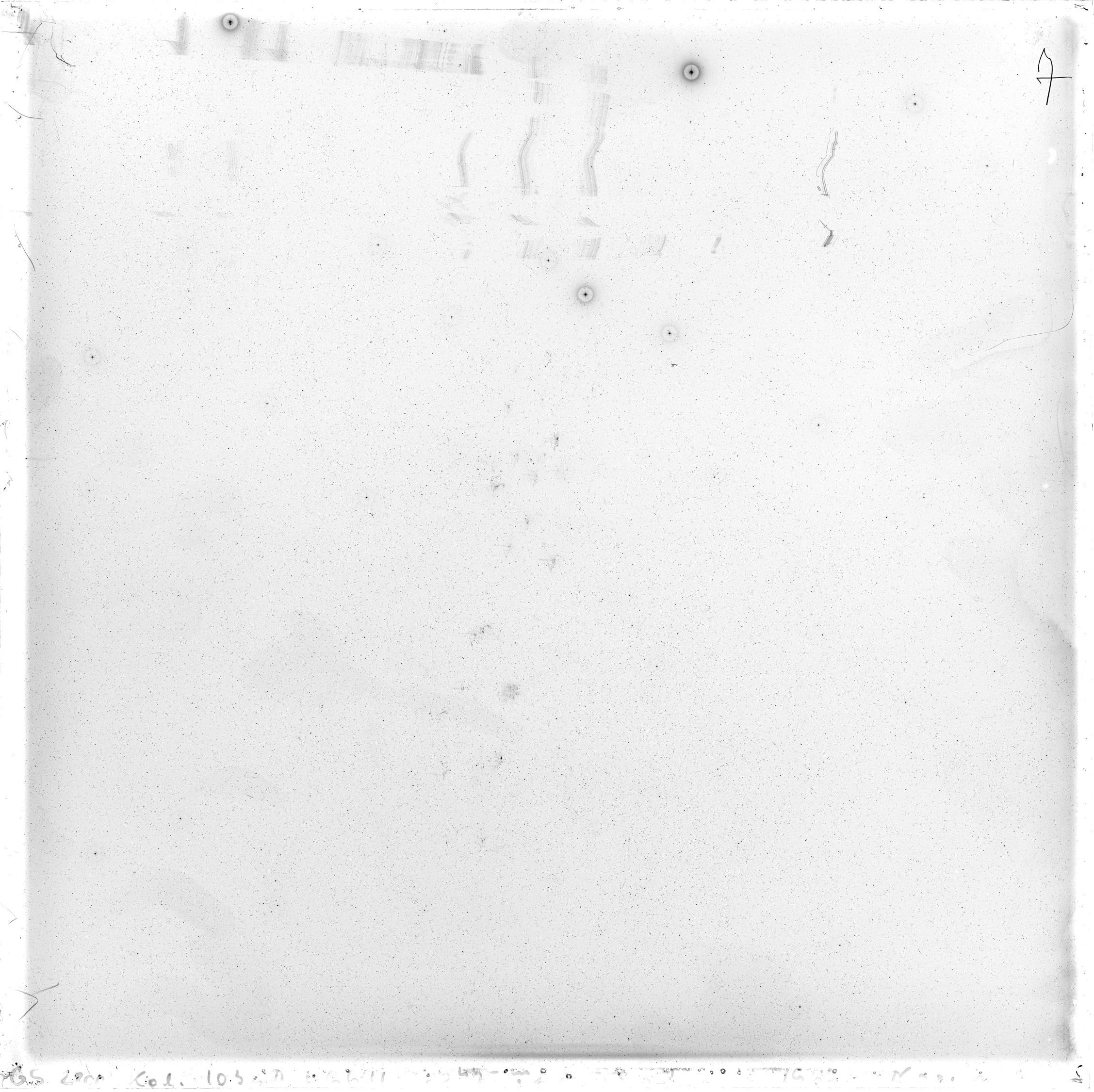 Scan GS02800